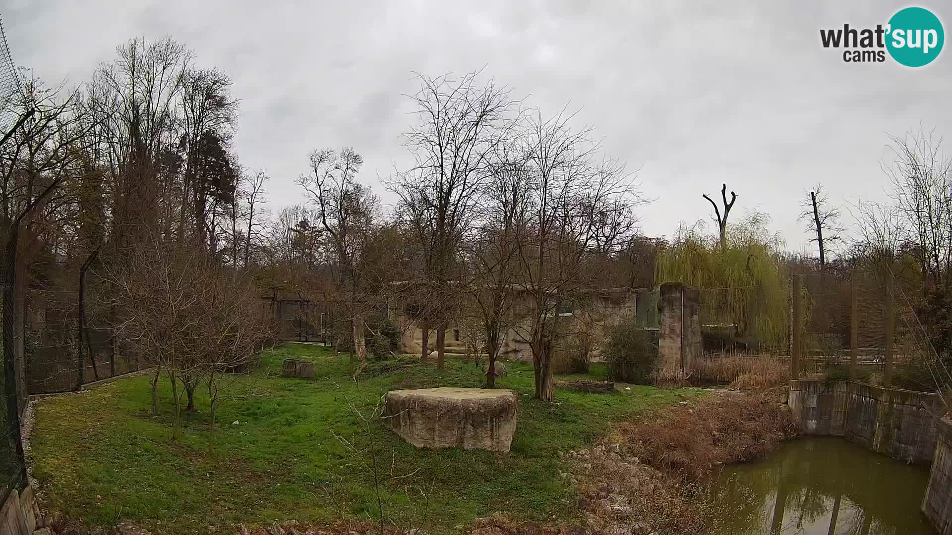 Zoo Zagreb – Löwen