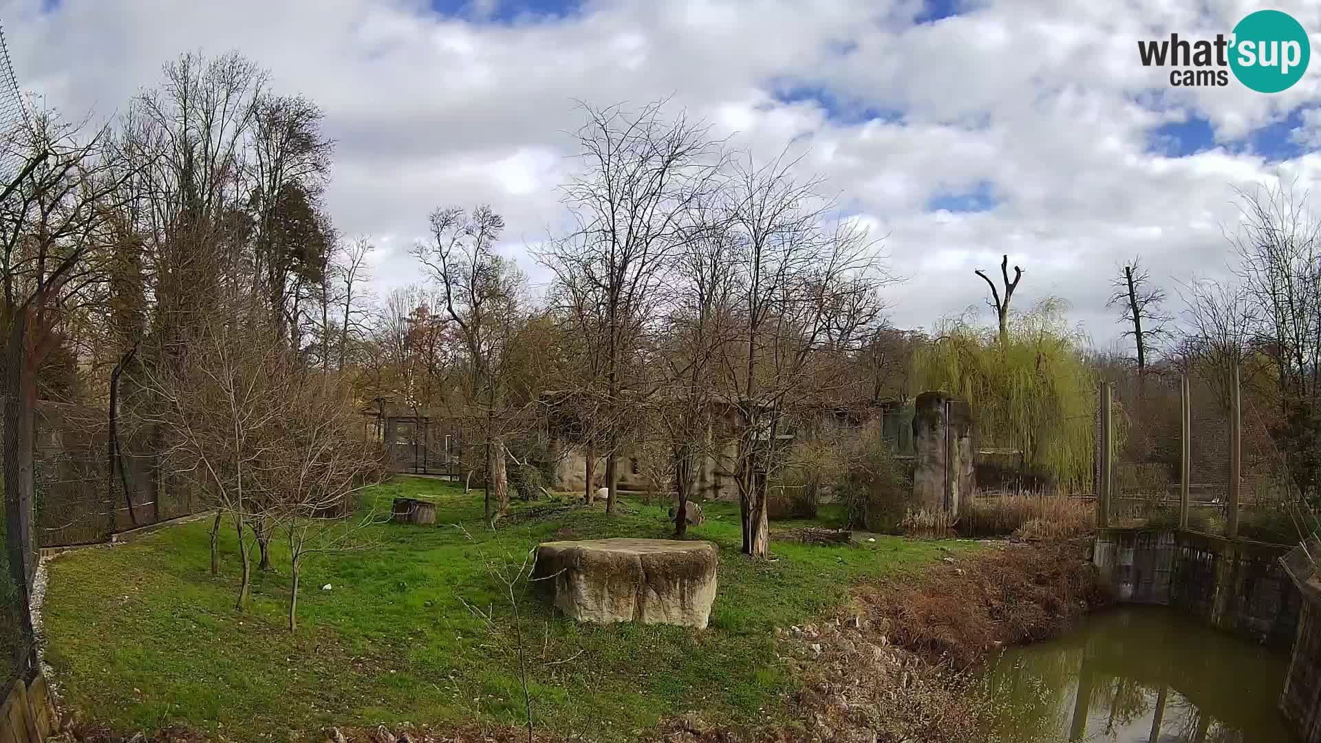 Zoo Zagreb – Leones