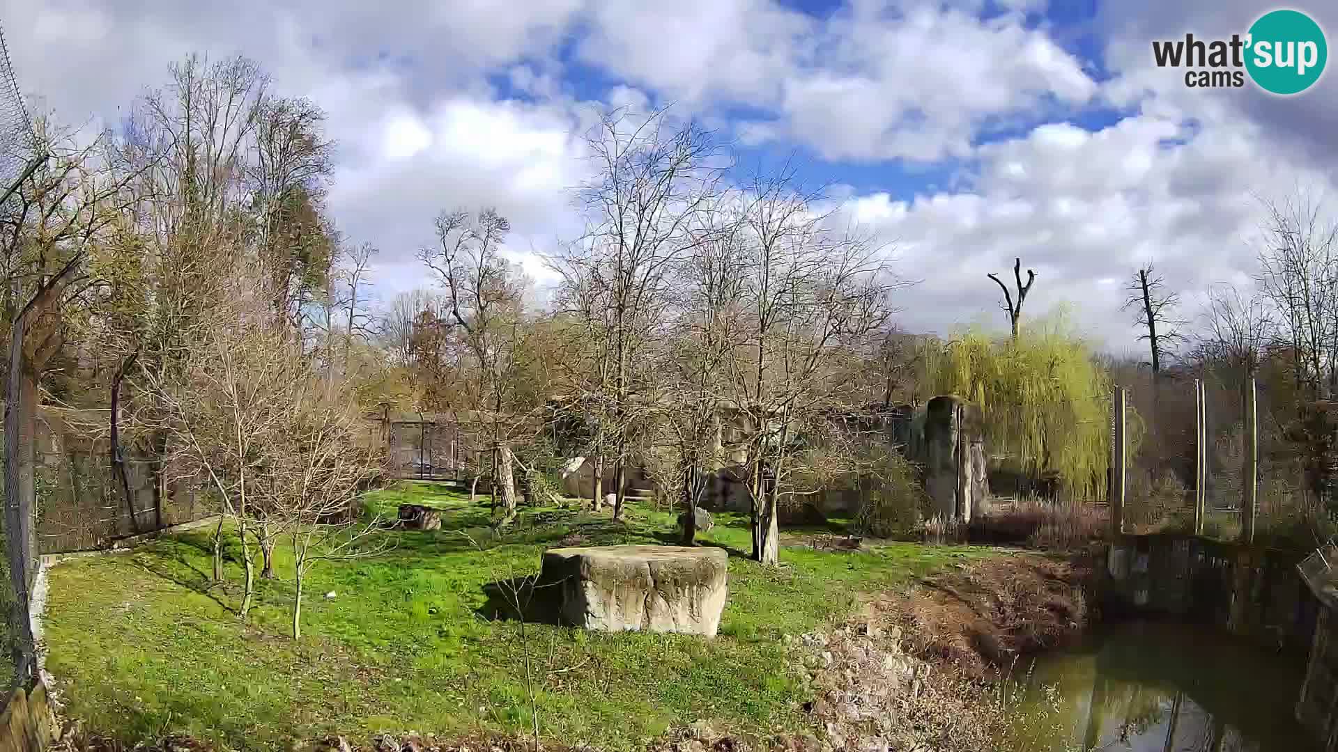 Zoo Zagreb – Löwen