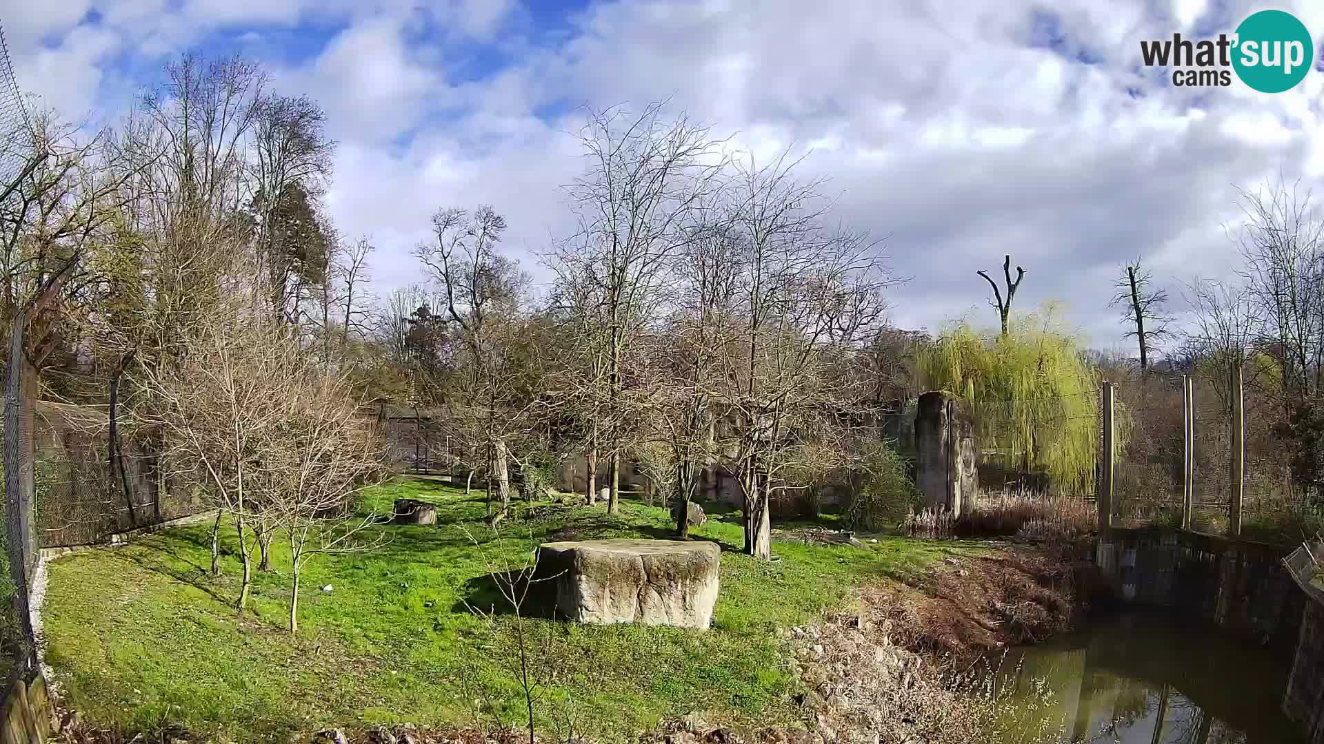 Spletna kamera Zoo Zagreb – Levi