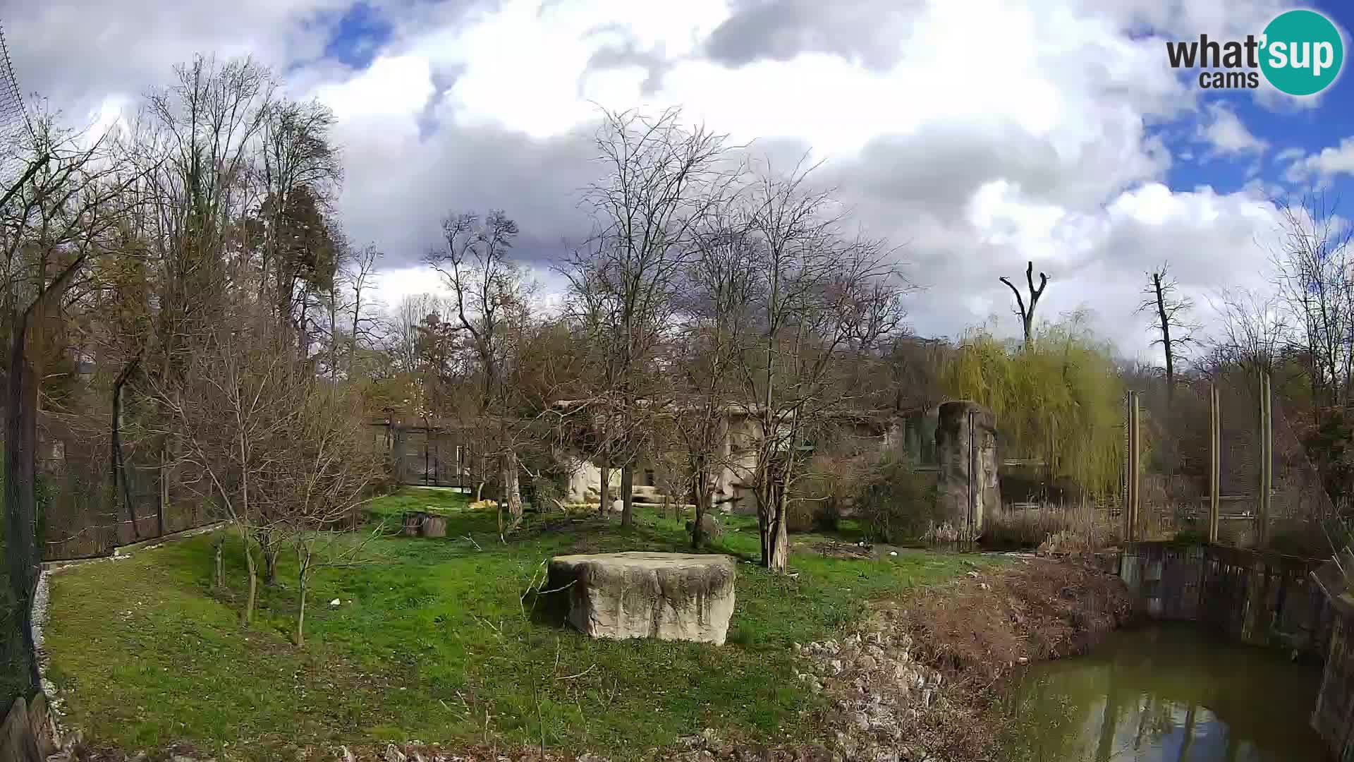 Zoo Zagreb – Löwen