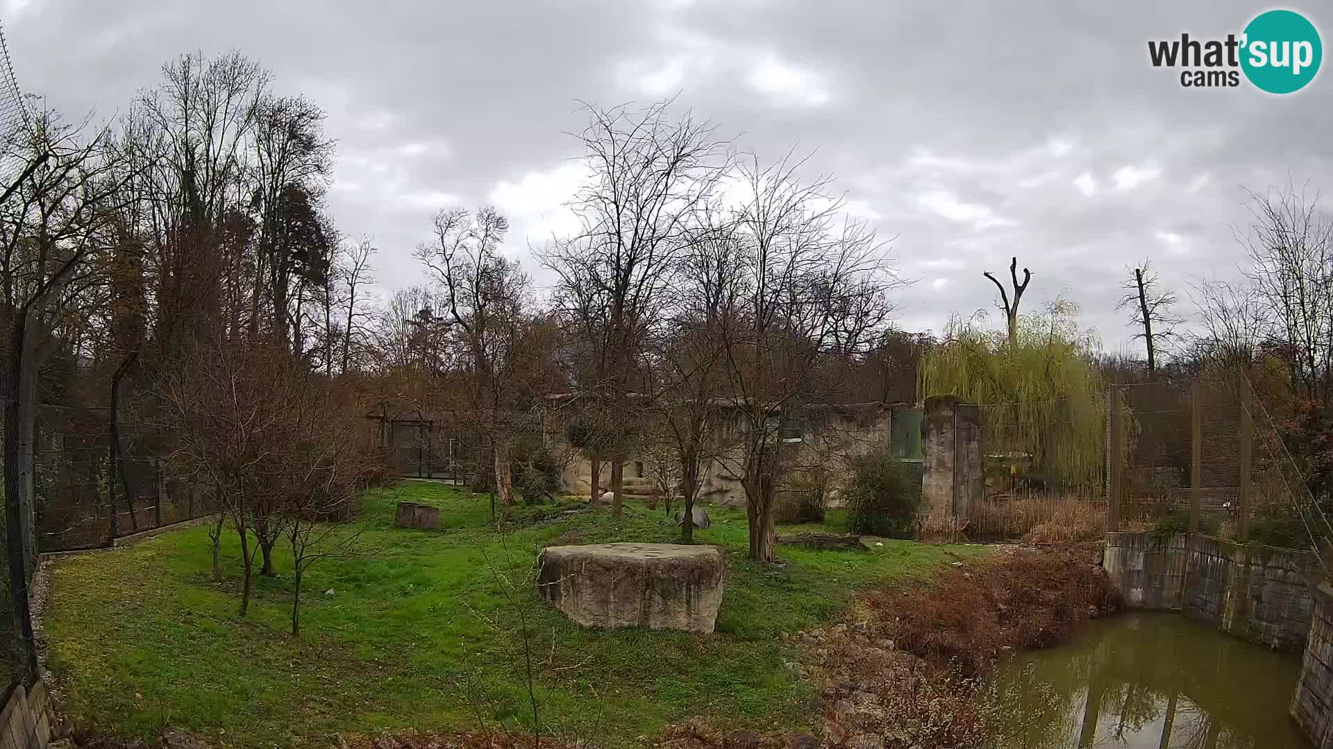 Spletna kamera Zoo Zagreb – Levi