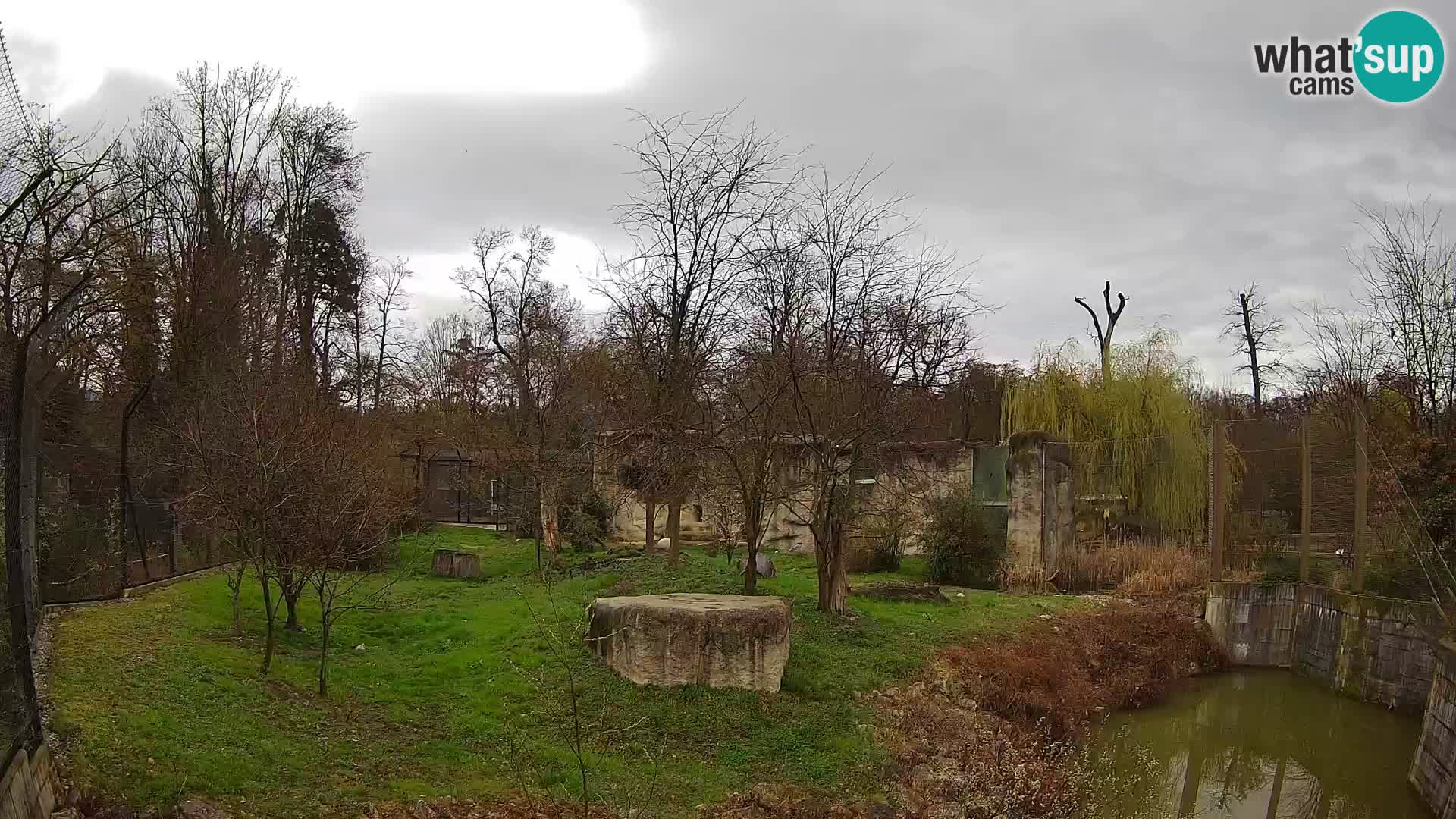 Zoo Zagreb – Löwen