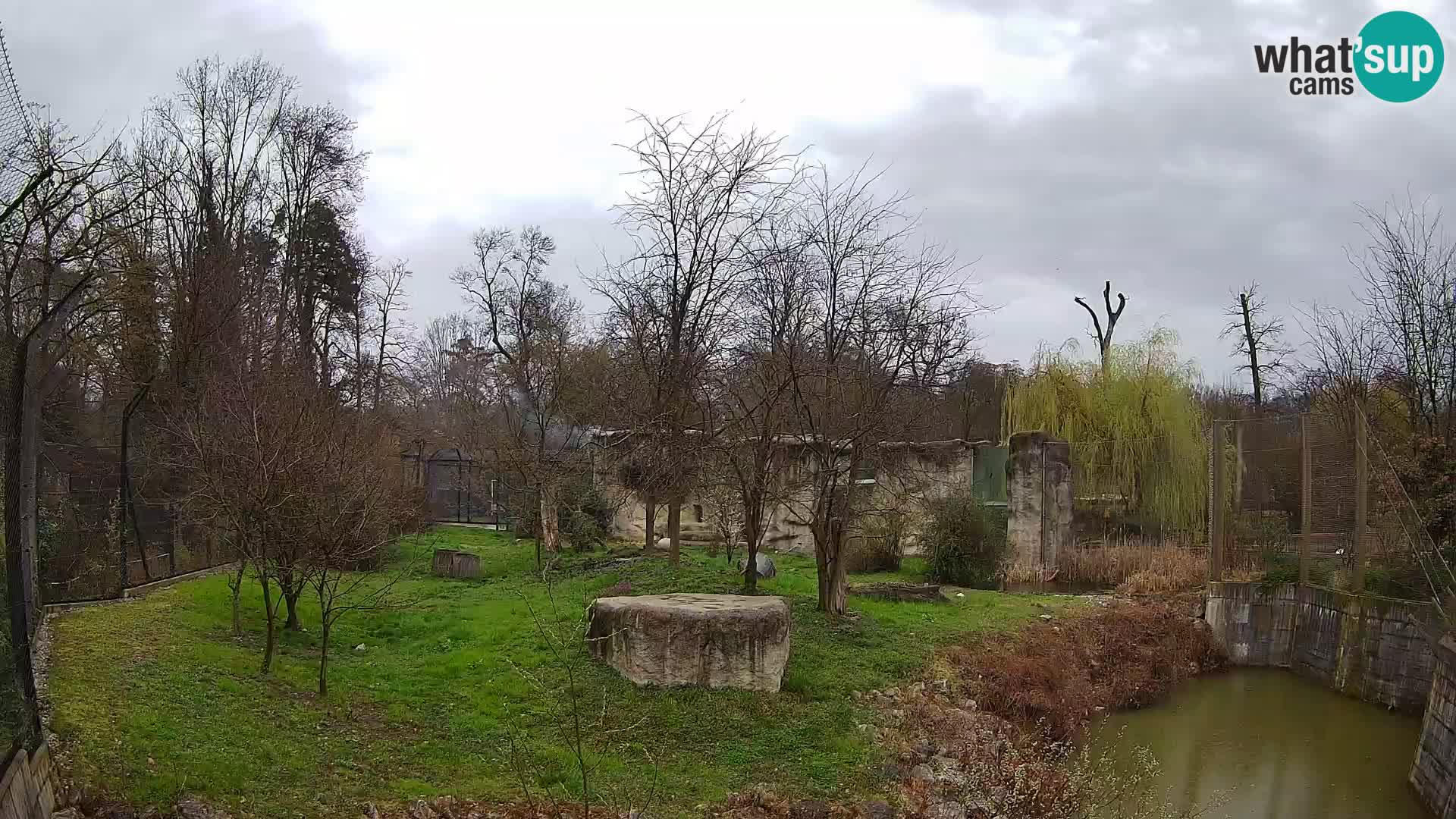 Zoo Zagreb – Löwen