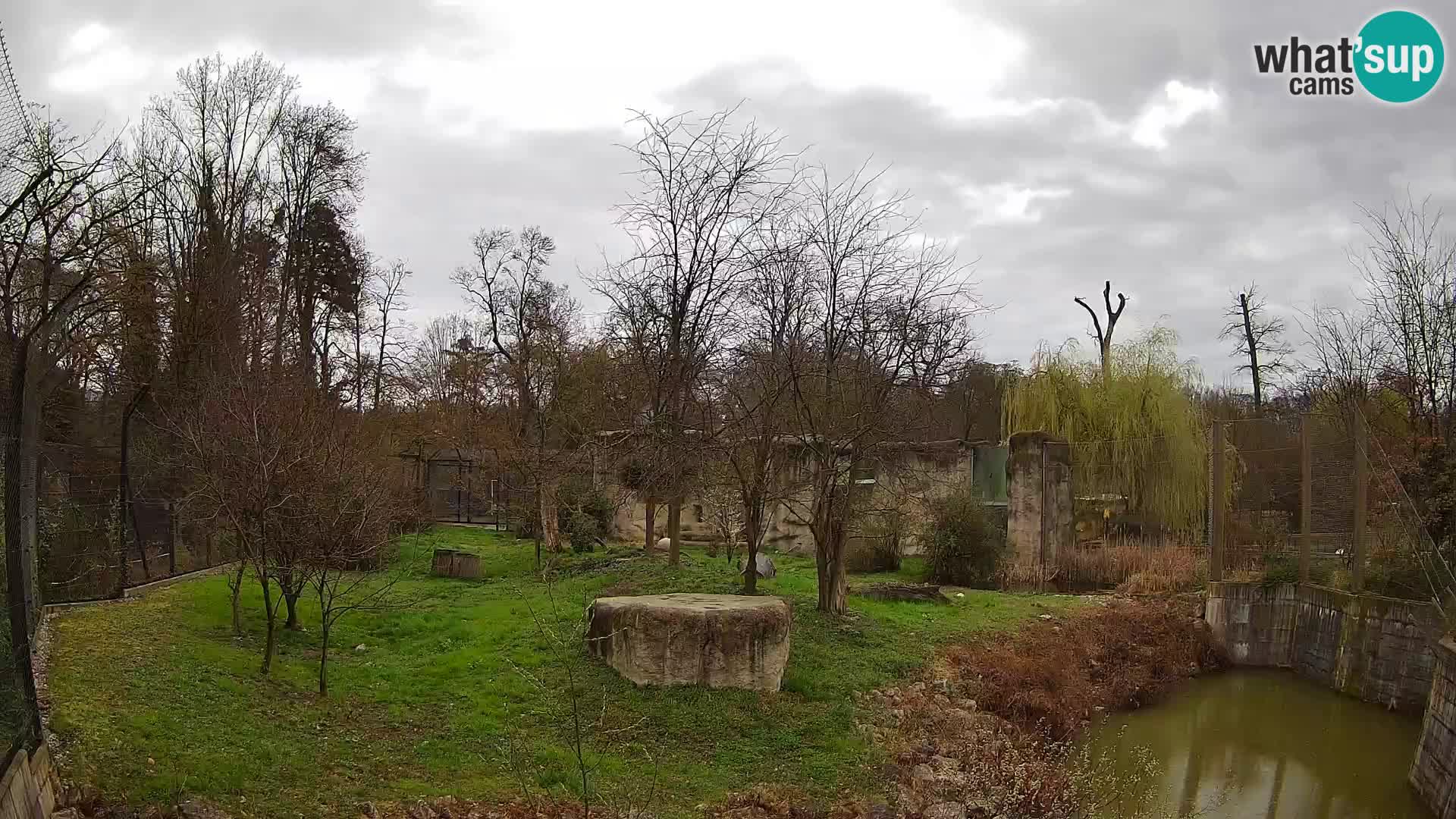 Zoo Zagreb – Leones