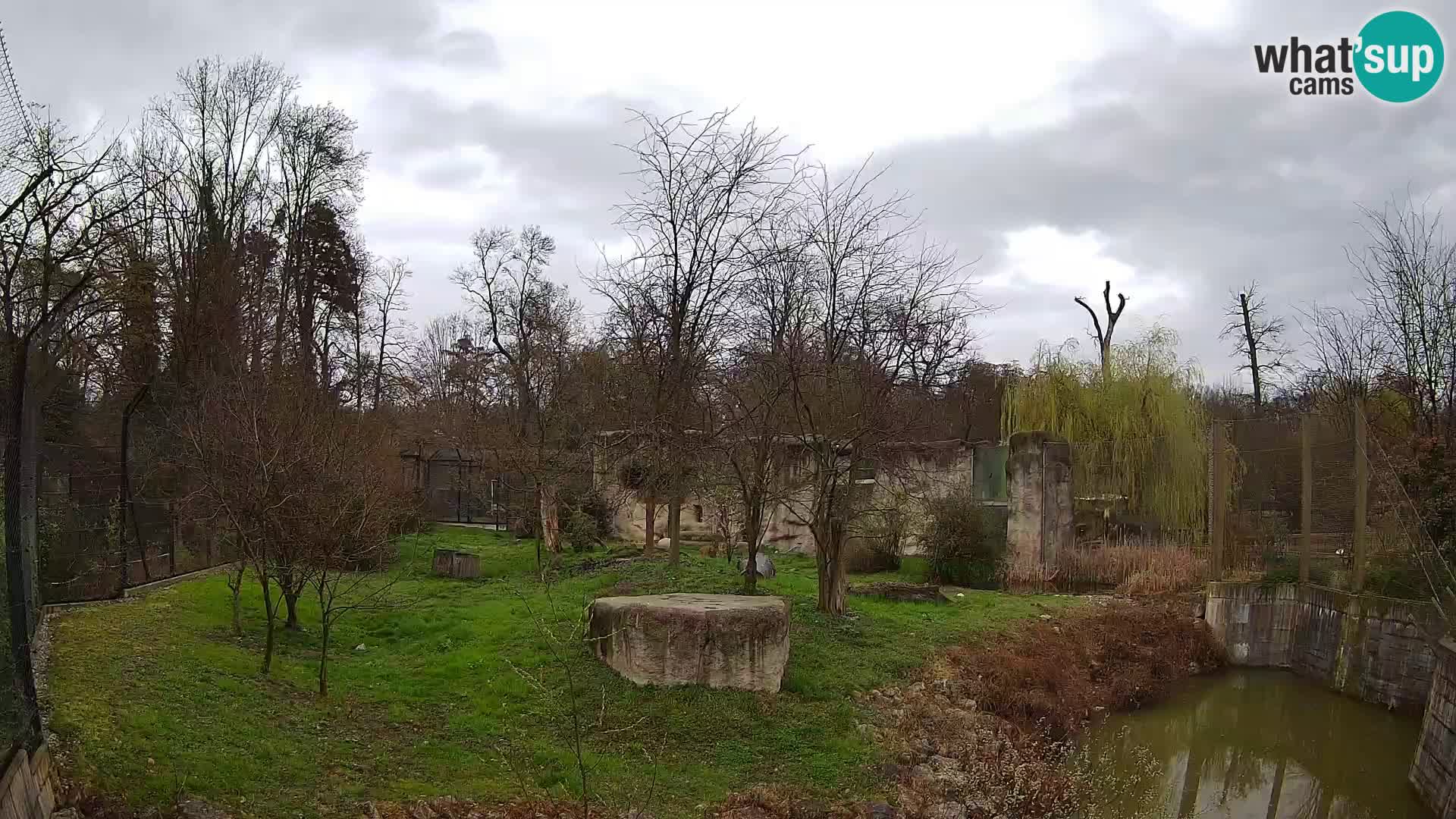 Zoo Zagreb – Löwen