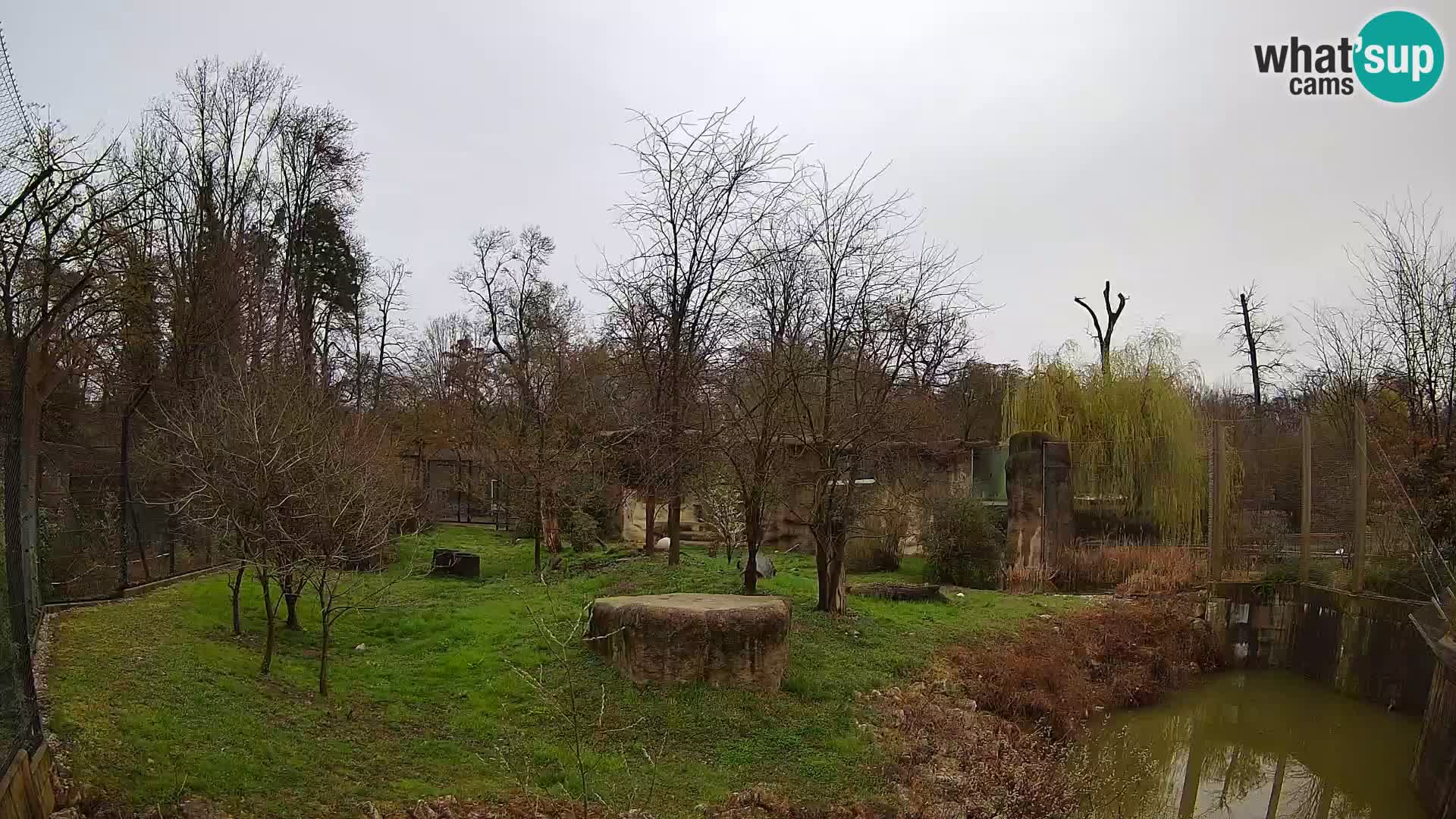 Zoo Zagreb – Löwen