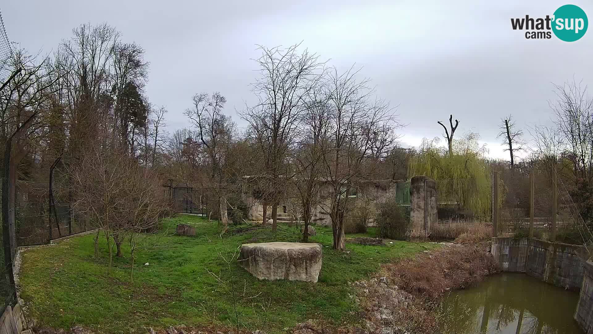 Zoo Zagreb – Löwen