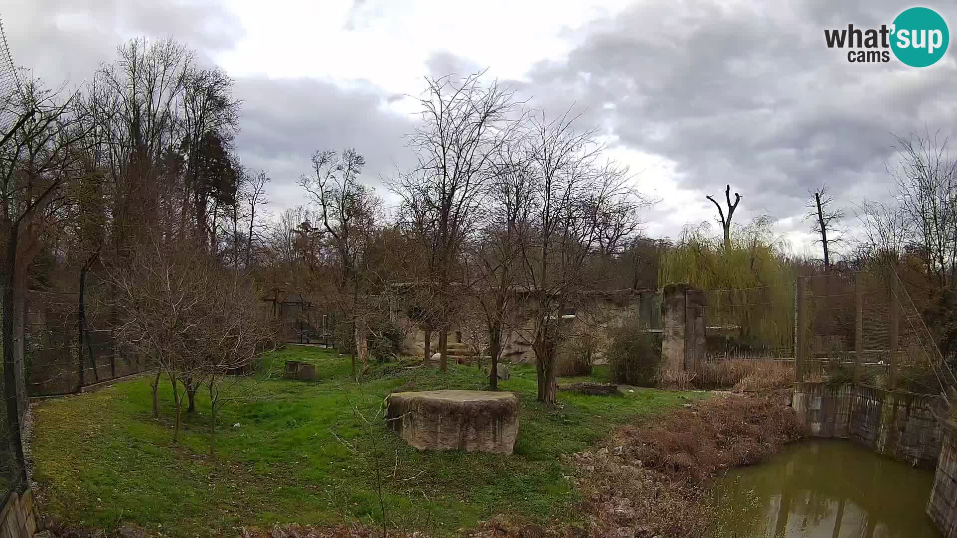 Zoo Zagreb – Löwen