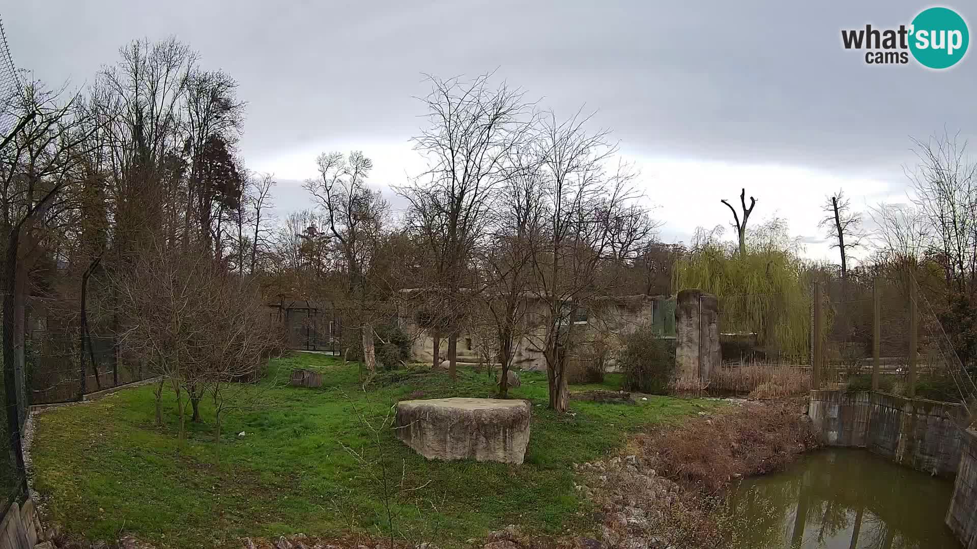 Zoo Zagreb – Löwen