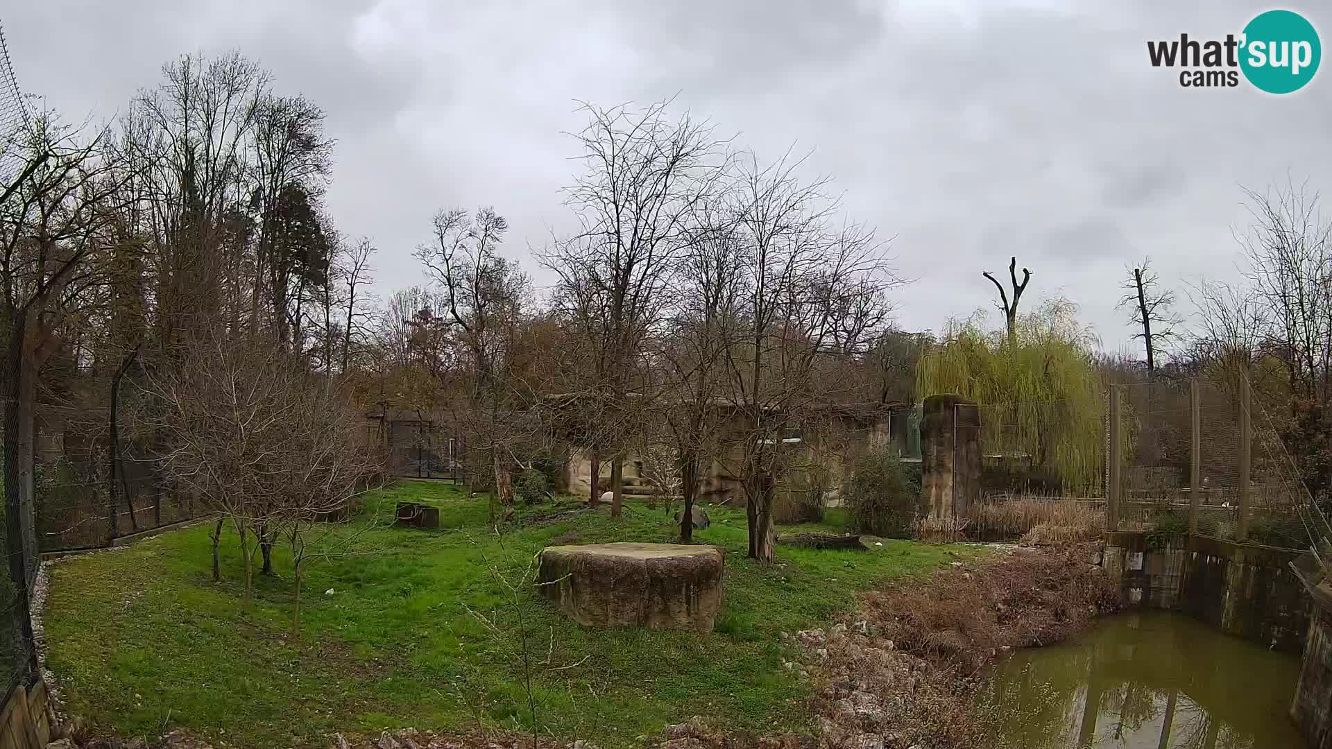 Spletna kamera Zoo Zagreb – Levi