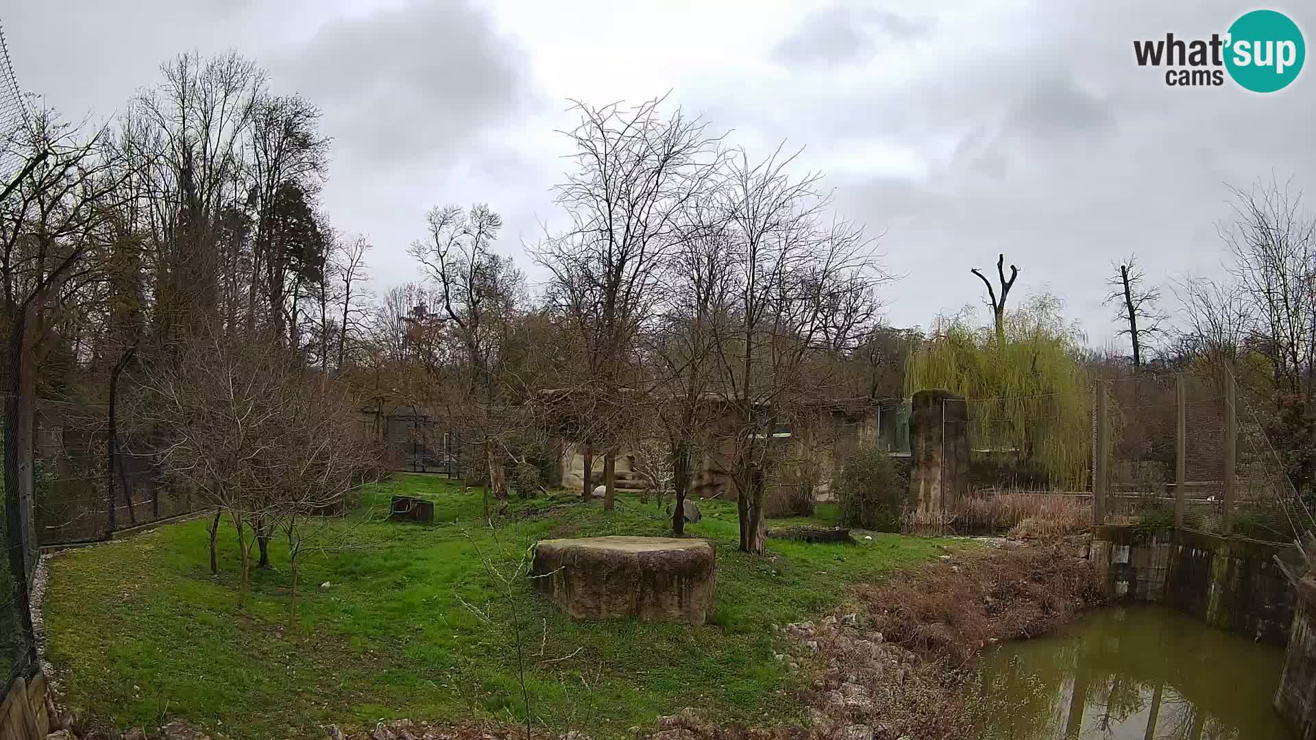 Zoo Zagreb – Leones