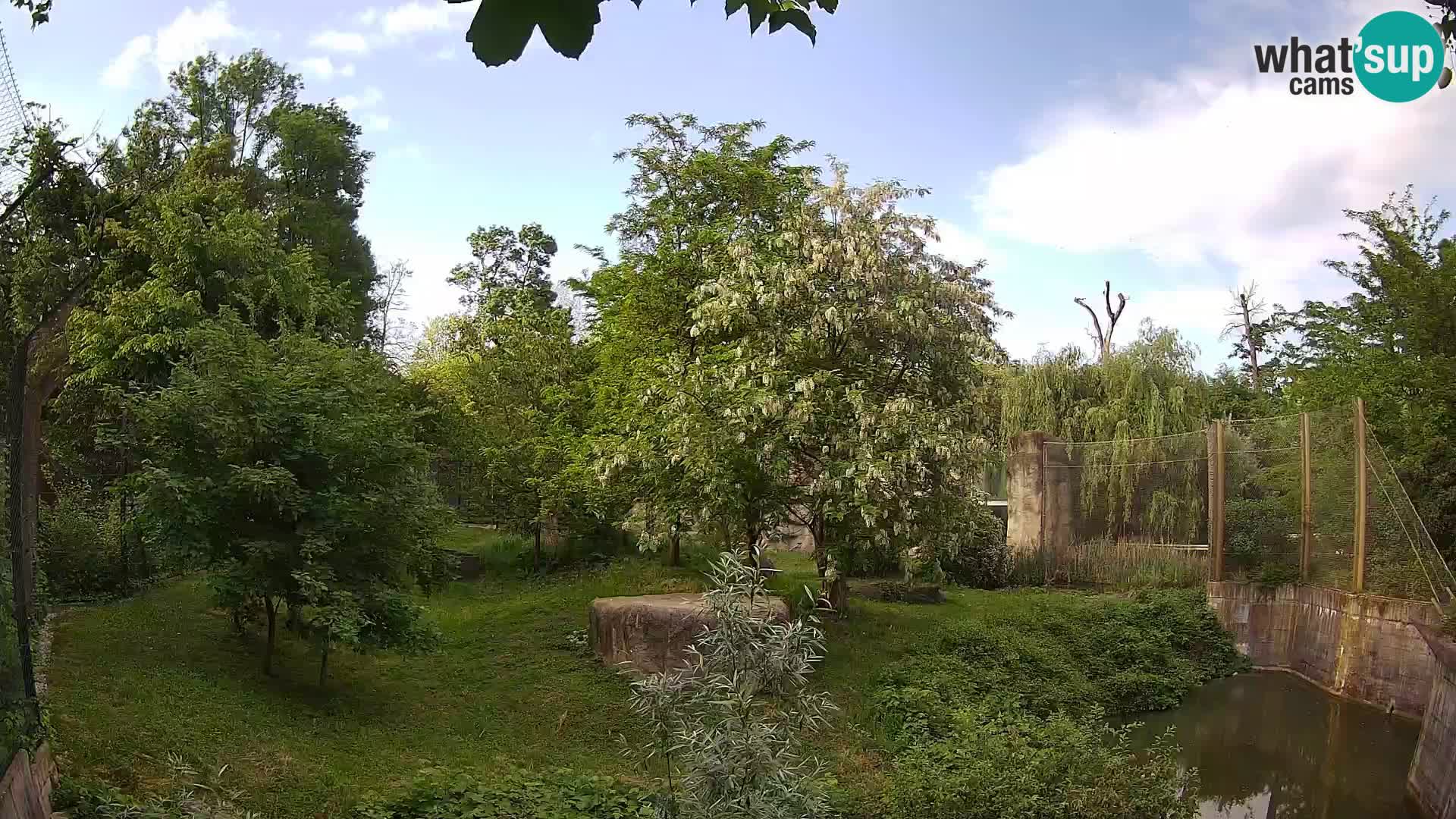 Spletna kamera Zoo Zagreb – Levi
