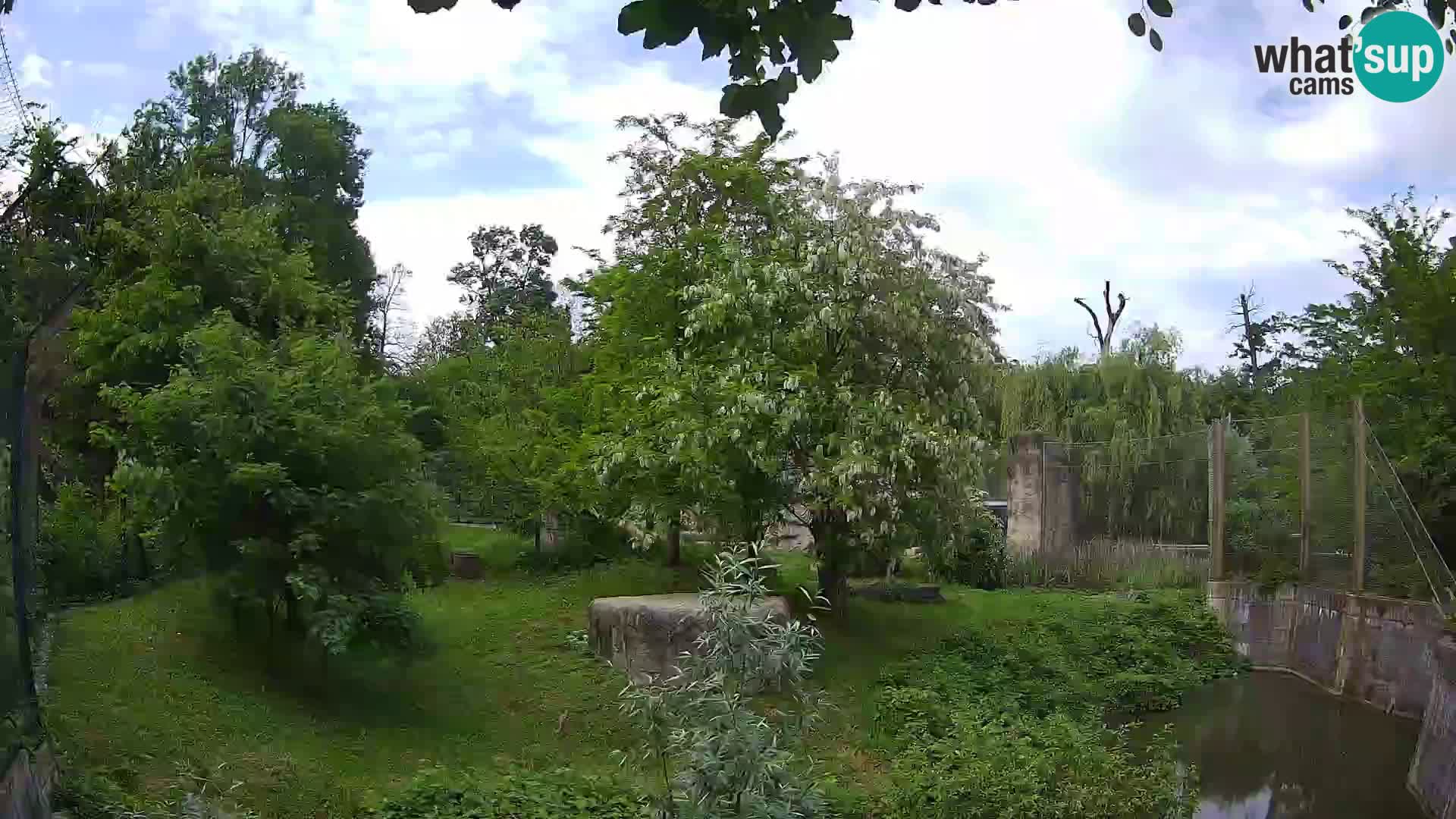 Zoo Zagreb – Leones
