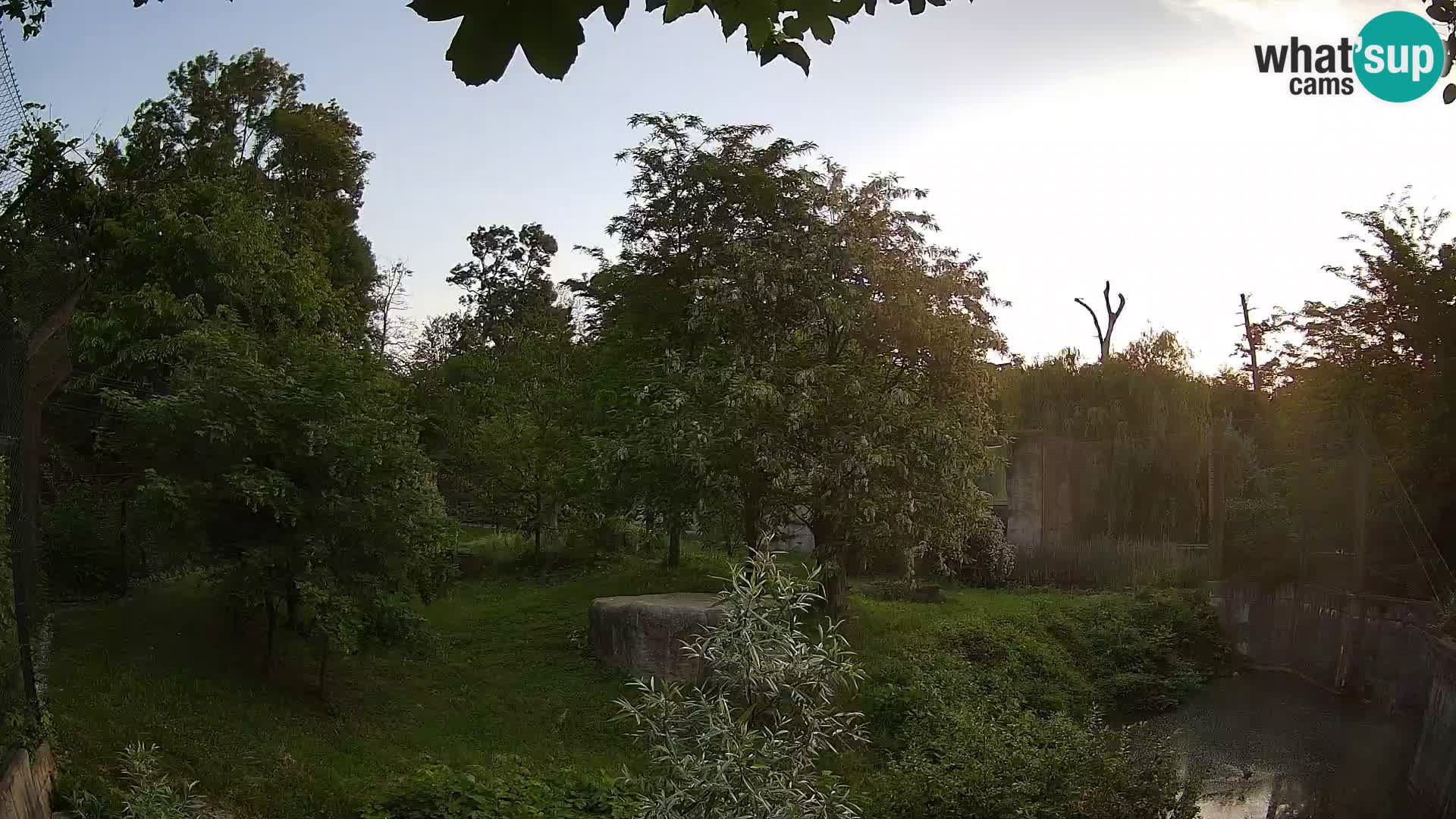 Zoo Zagreb – Leoni