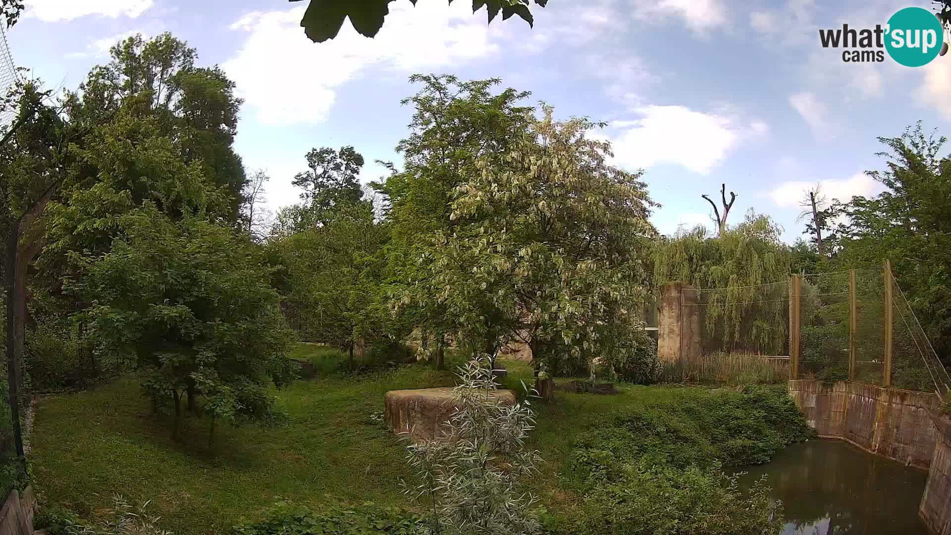 Spletna kamera Zoo Zagreb – Levi