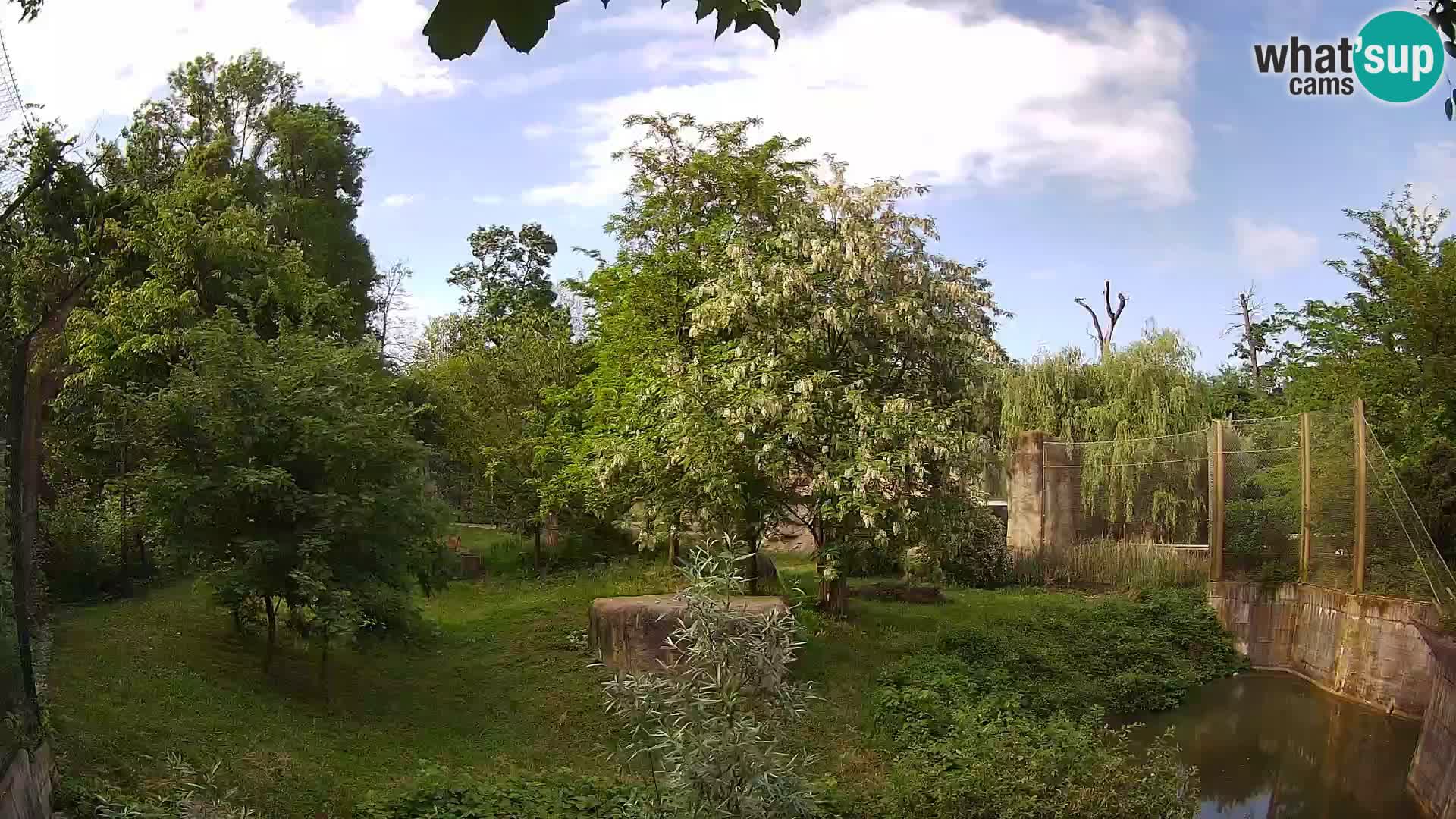 Zoo Zagreb – Leoni