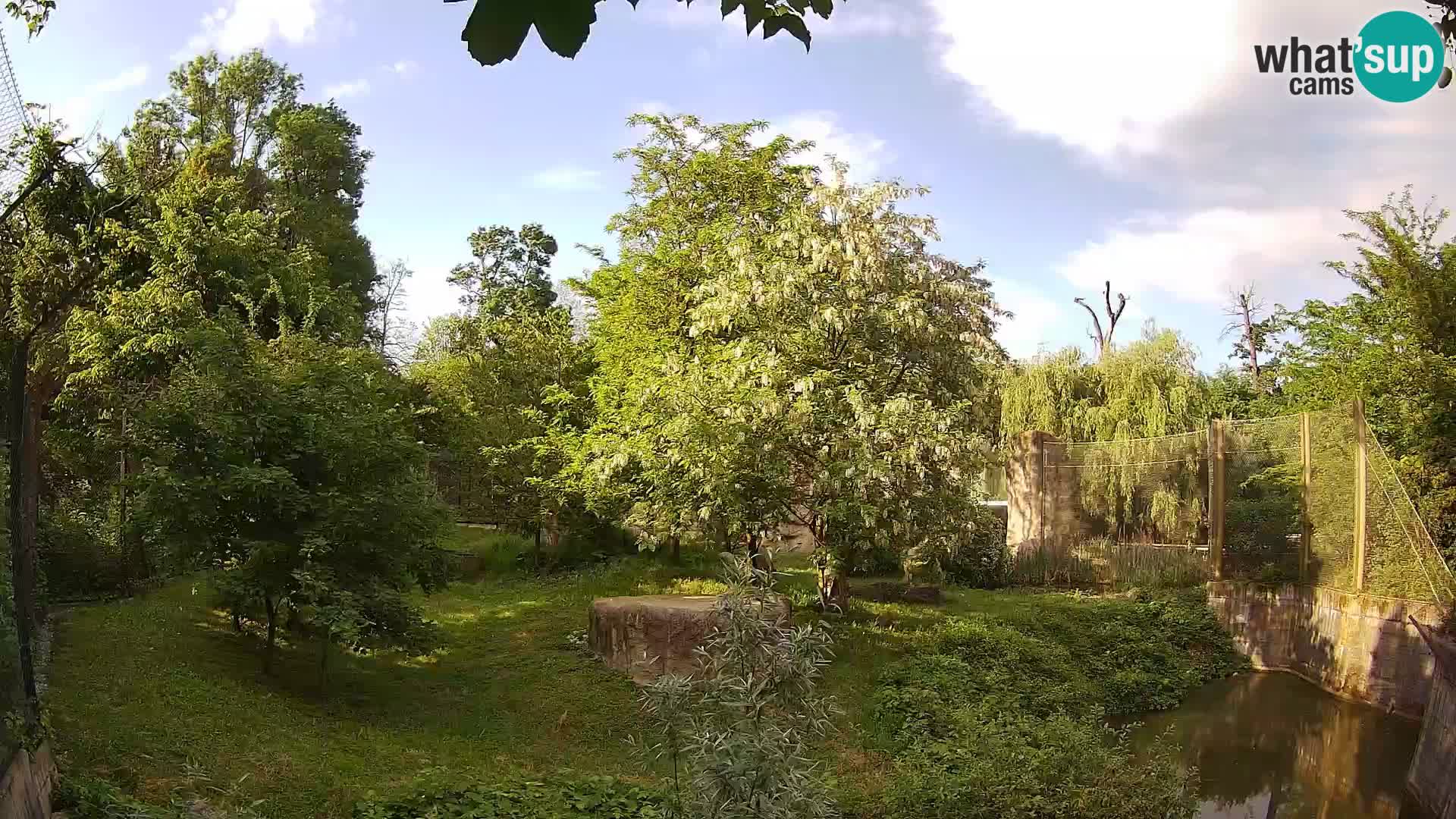 Zoo Zagreb – Leoni