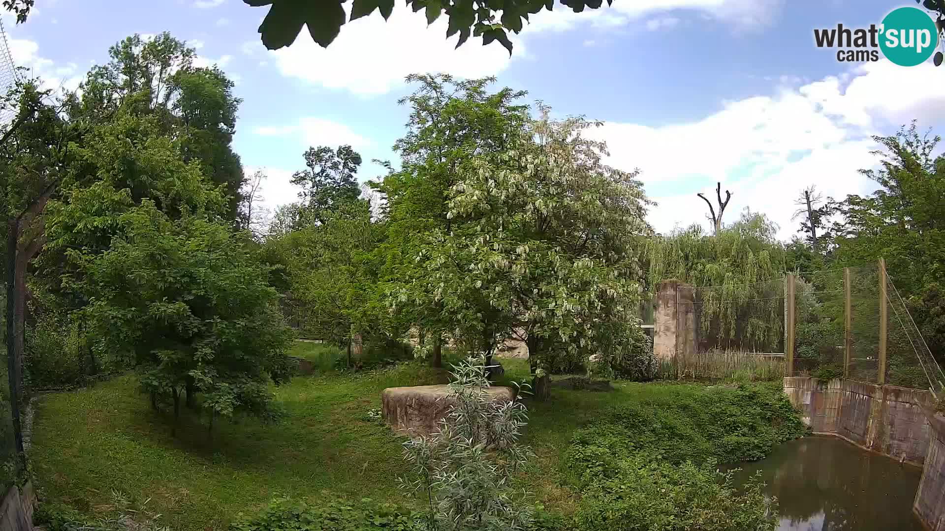 Zoo Zagreb – Leoni