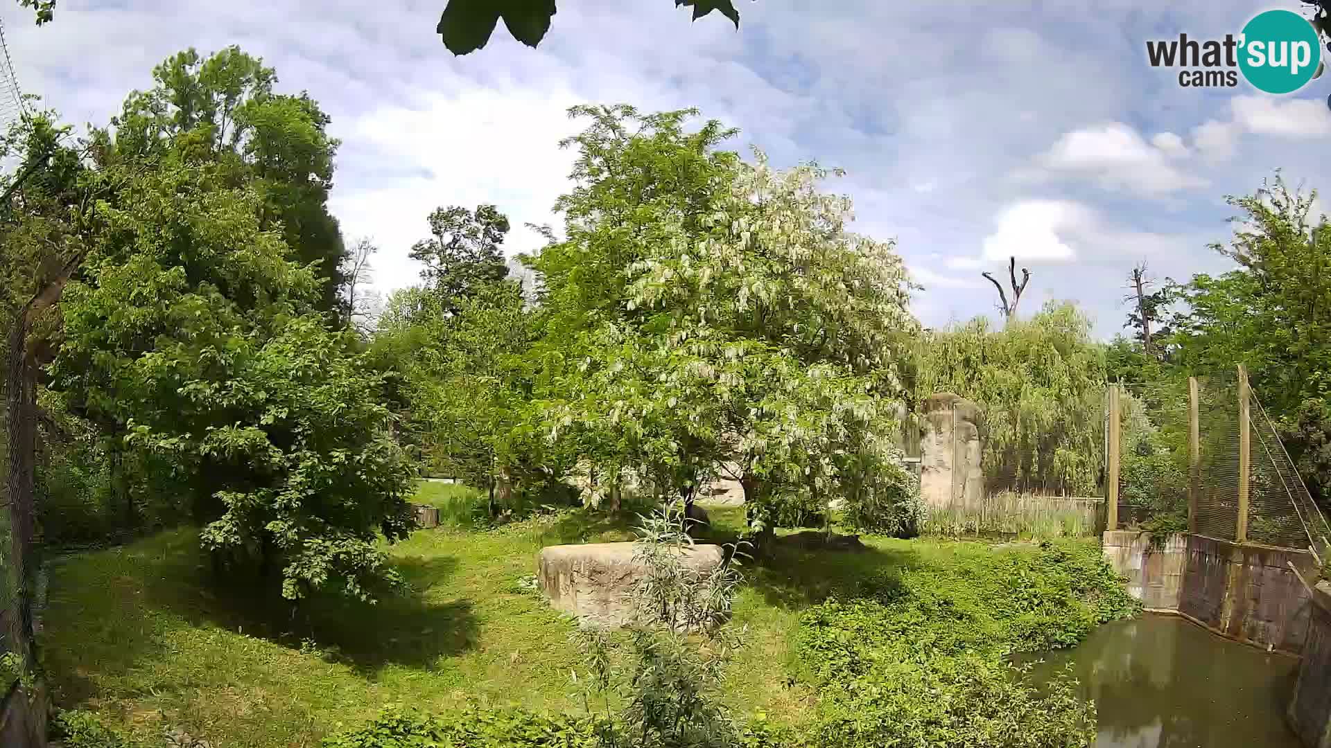 Zoo Zagreb – Löwen