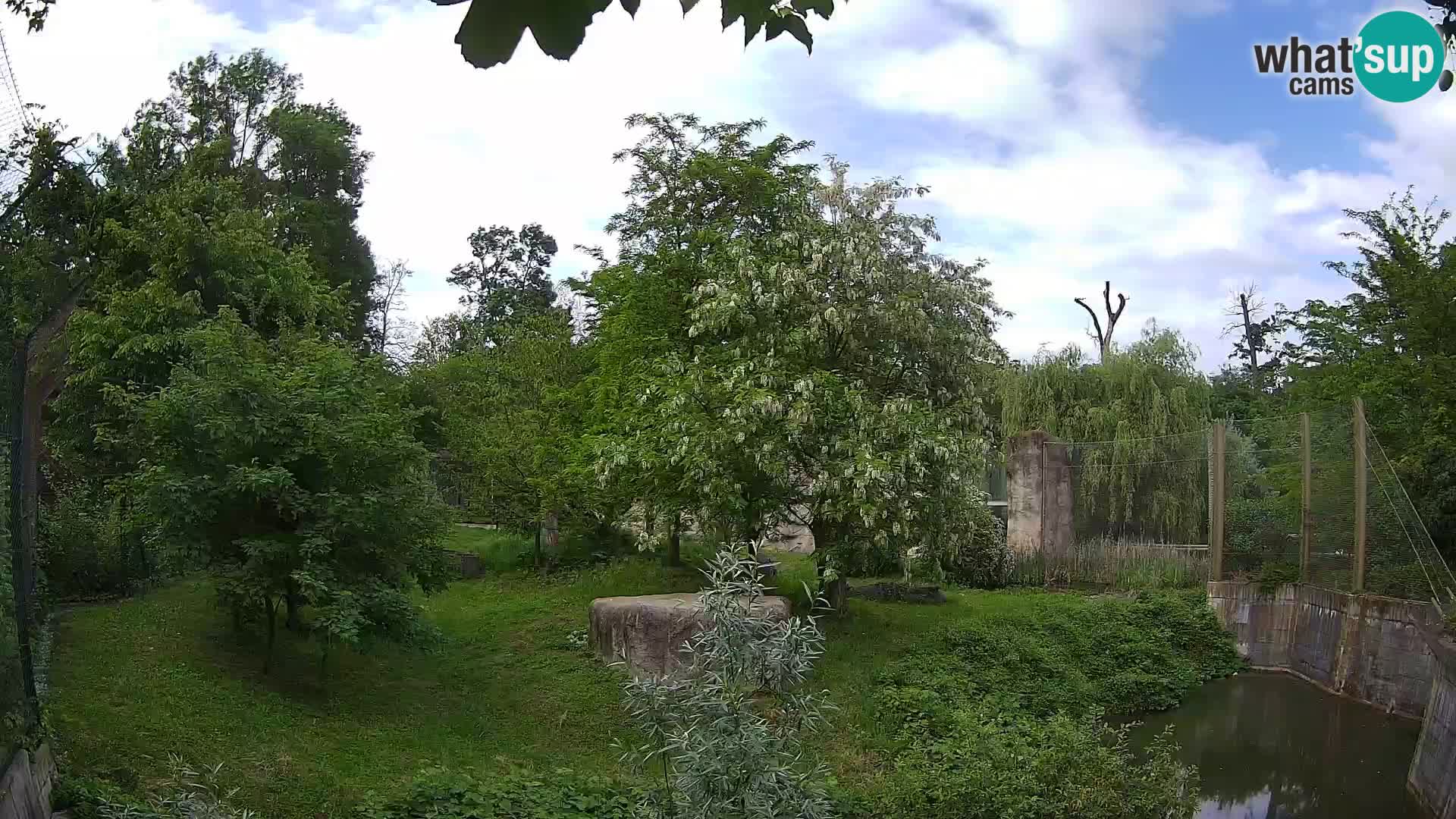 Spletna kamera Zoo Zagreb – Levi
