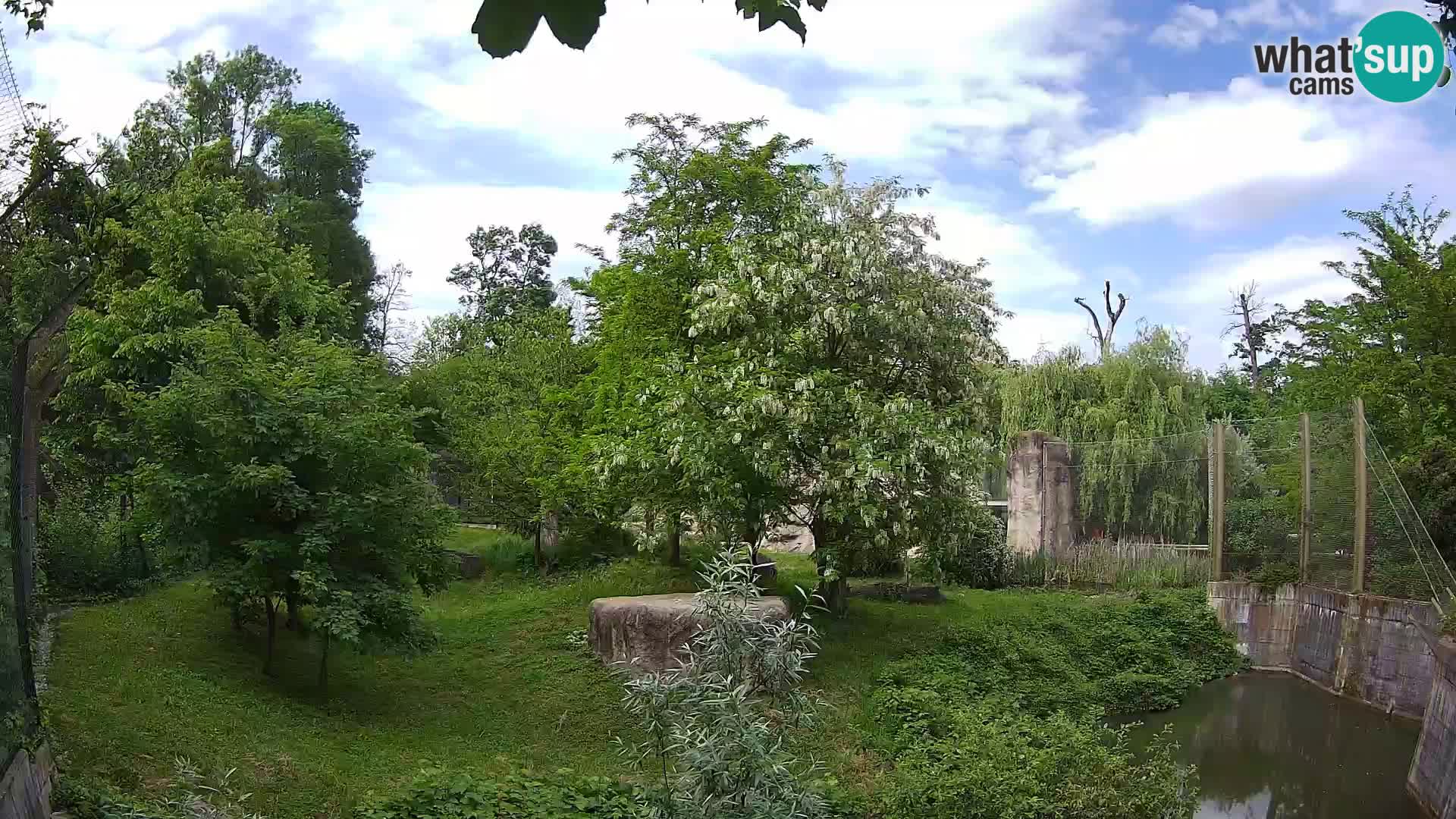 Zoo Zagreb – Leoni