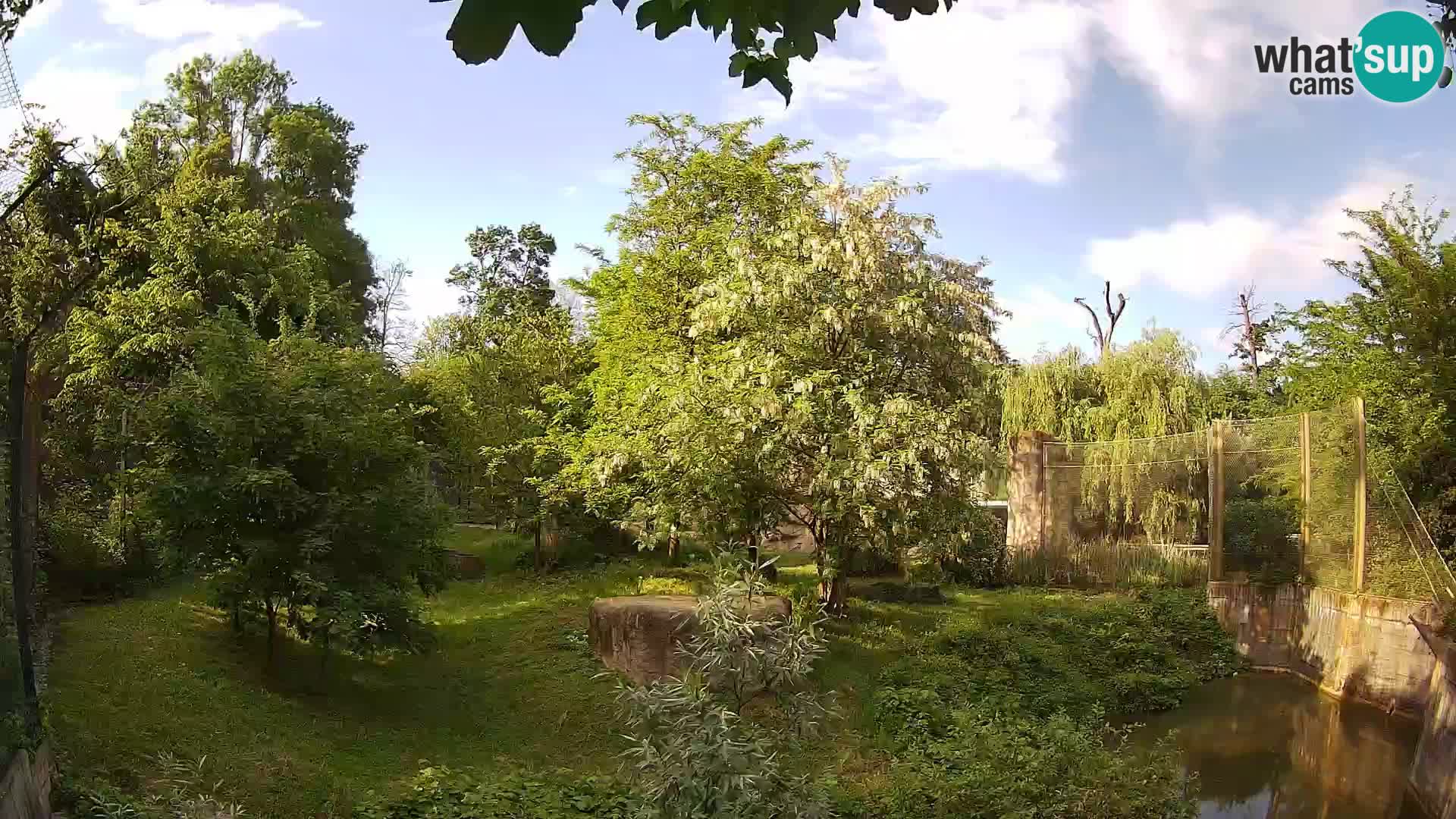 Zoo Zagreb – Löwen