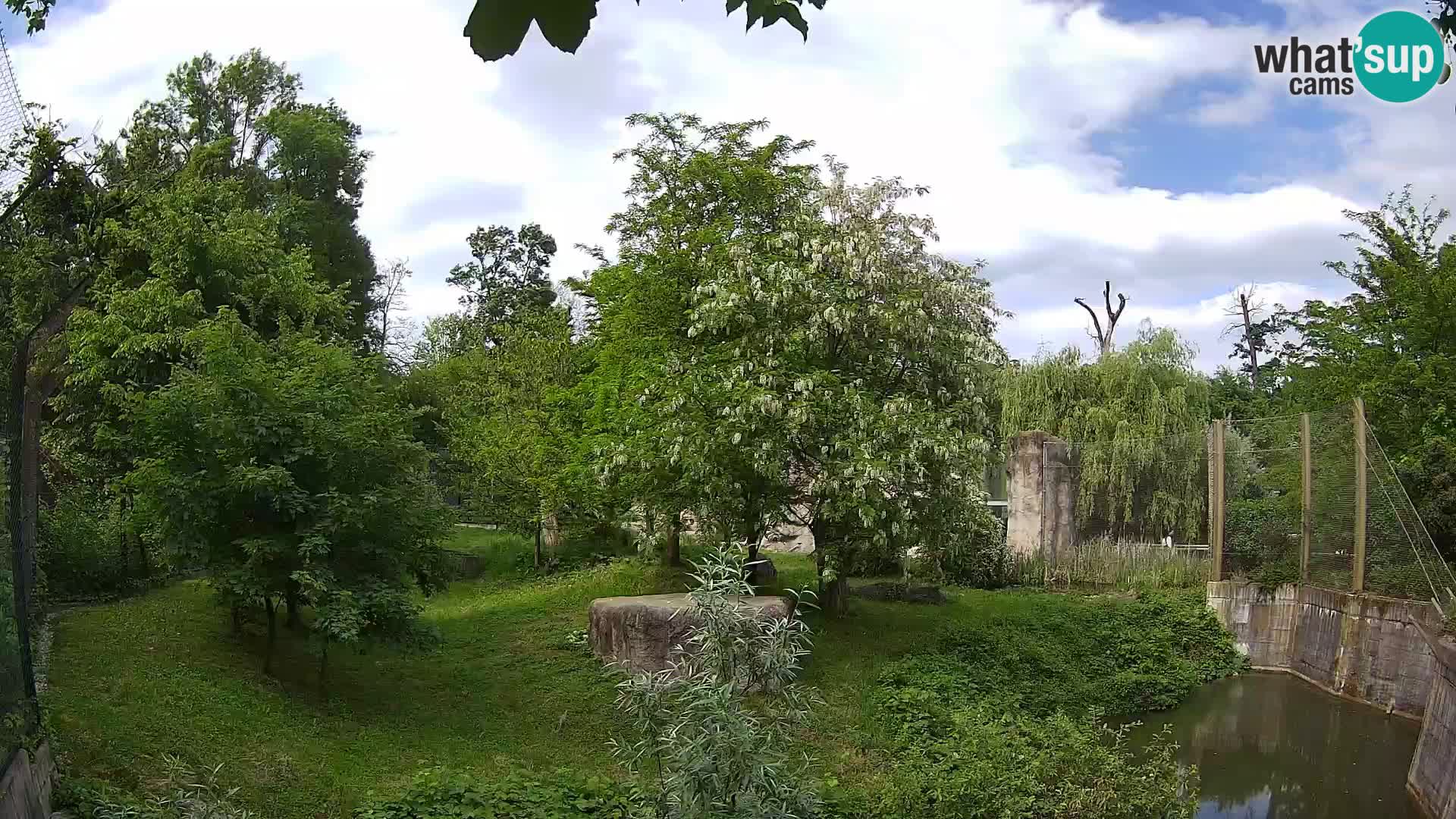 Zoo Zagreb – Leoni