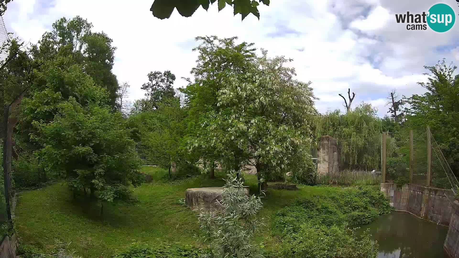 Zoo Zagreb – Löwen