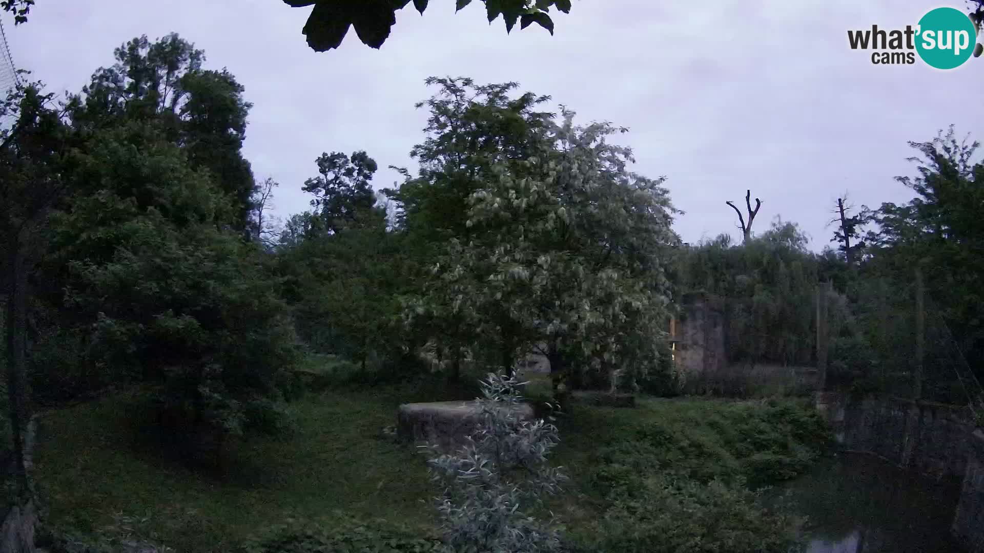 Zoo Zagreb – Löwen