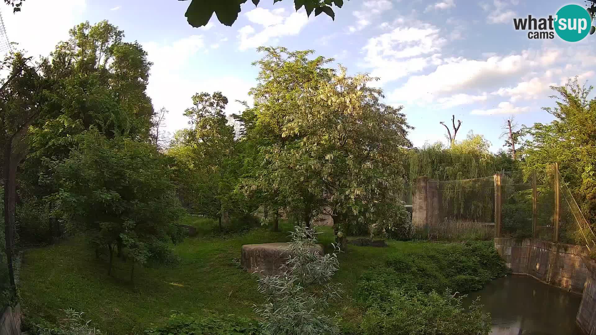 Zoo Zagreb – Lion