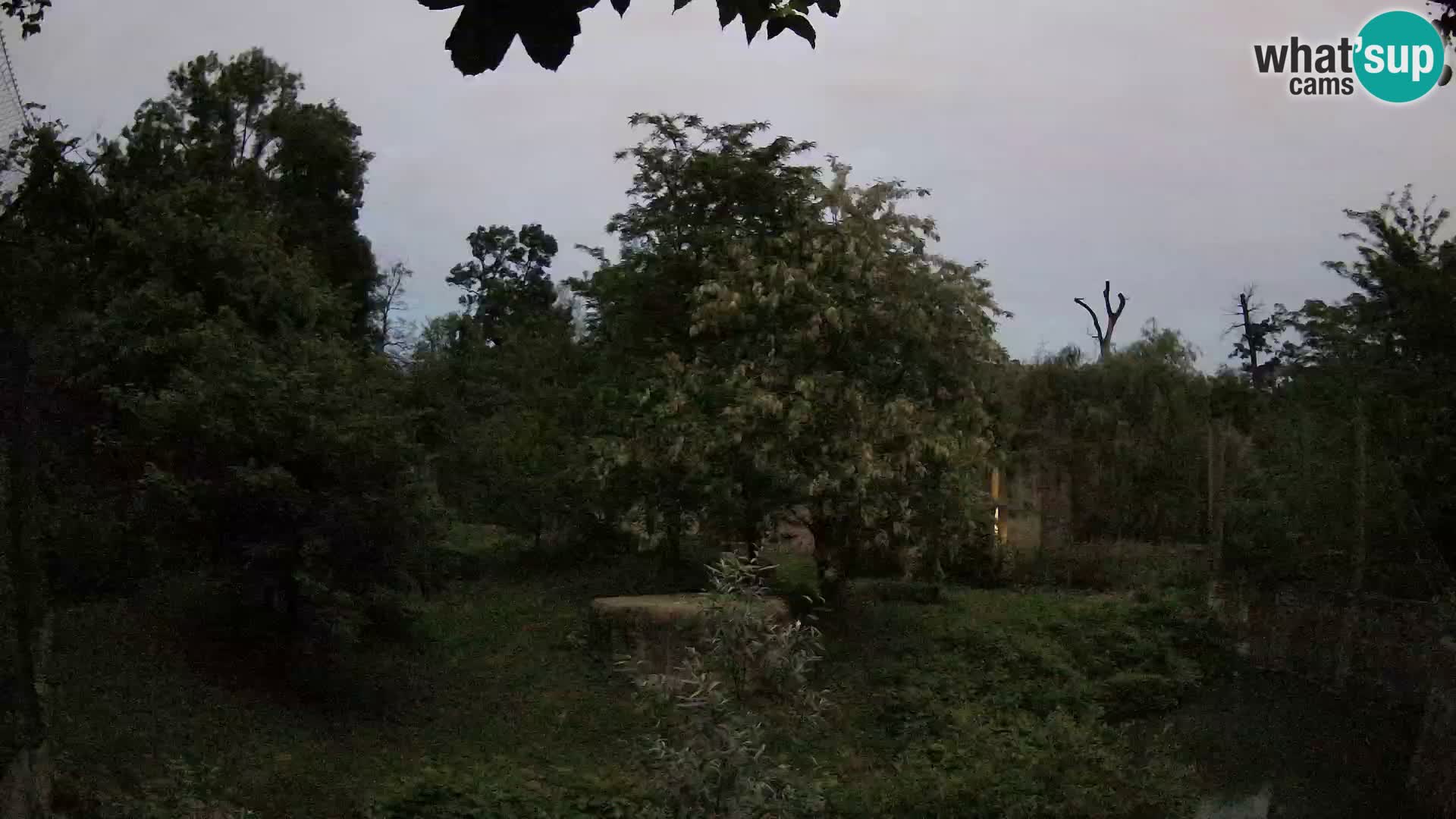 Zoo Zagreb – Löwen