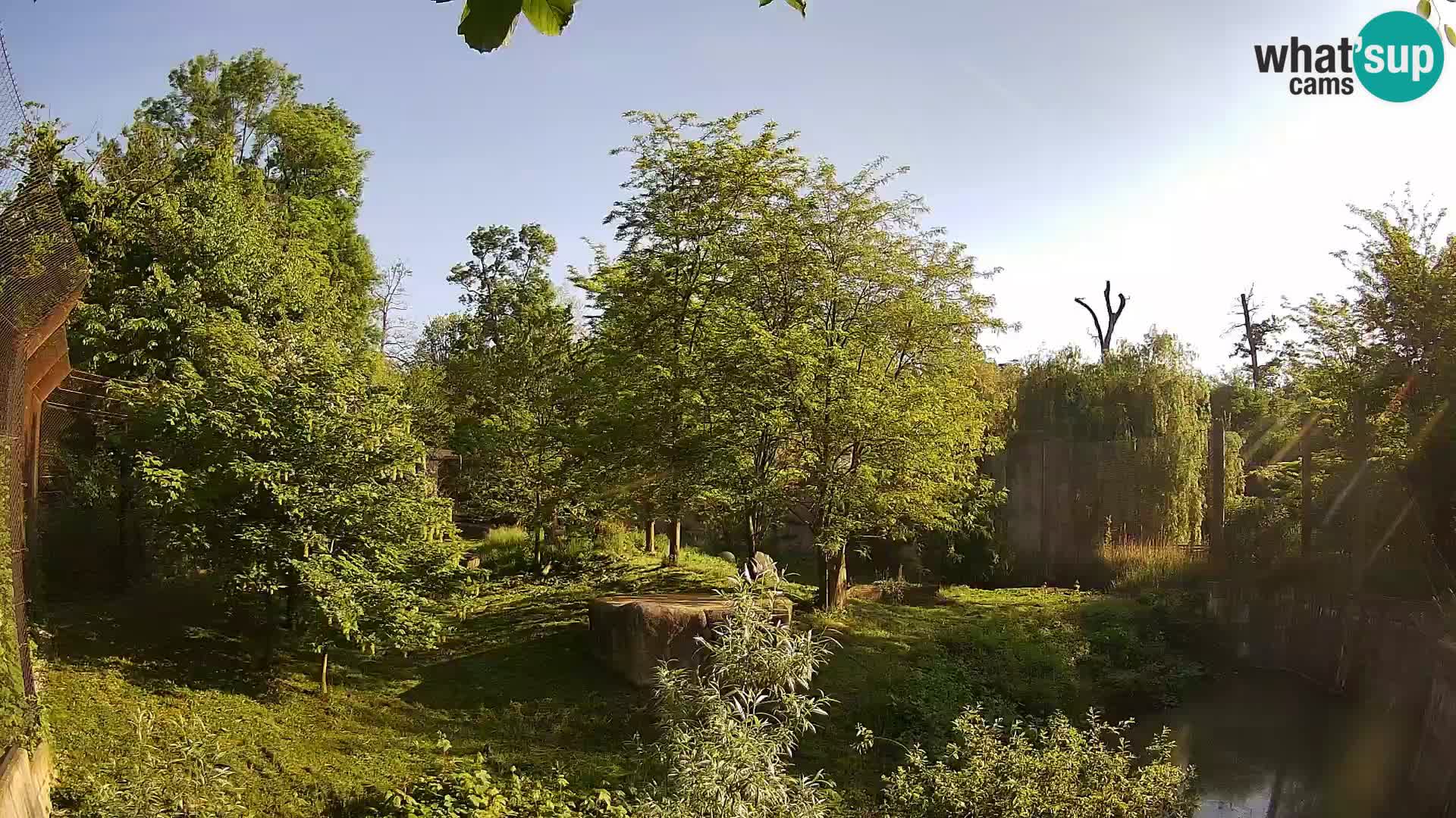 Zoo Zagreb – Leoni