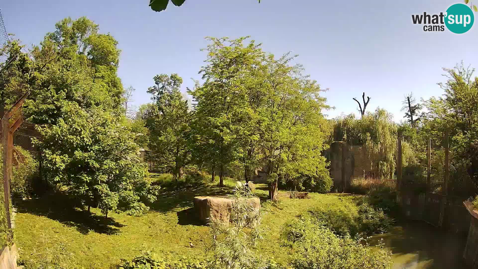 Zoo Zagreb – Löwen