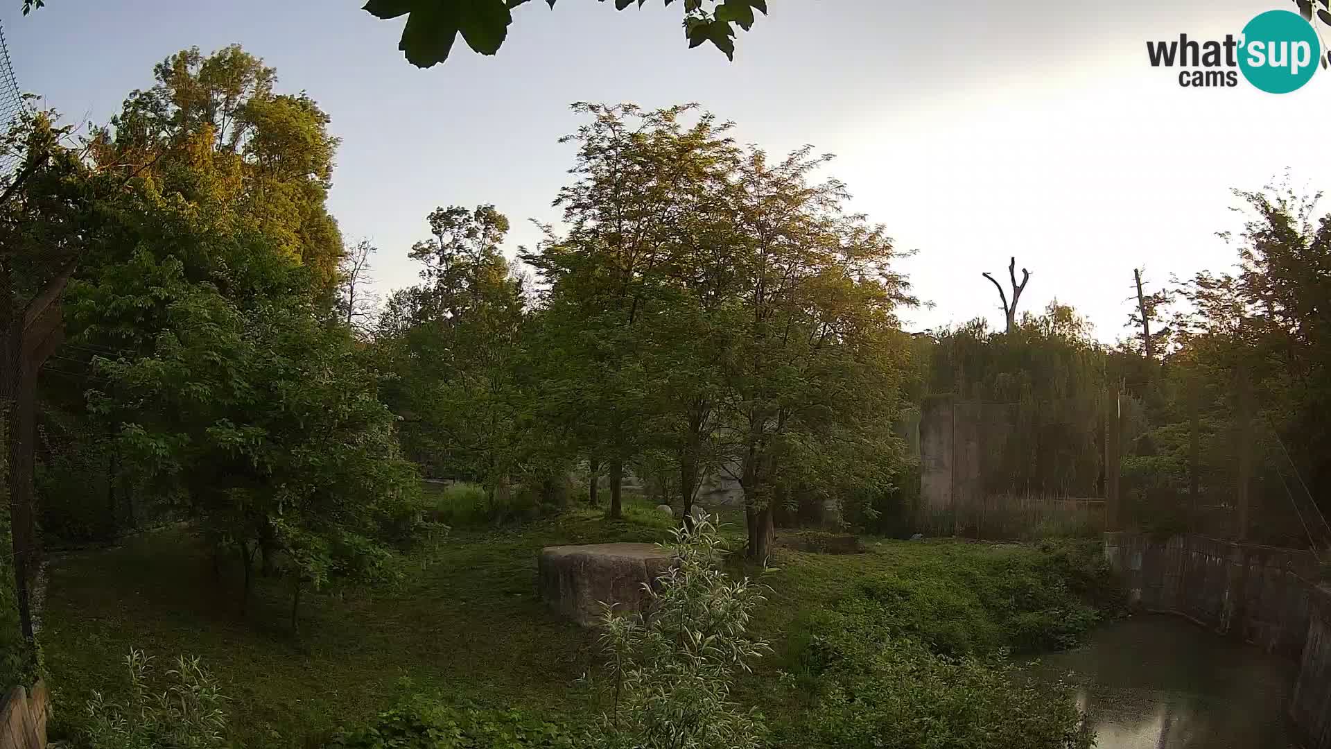 Zoo Zagreb – Löwen