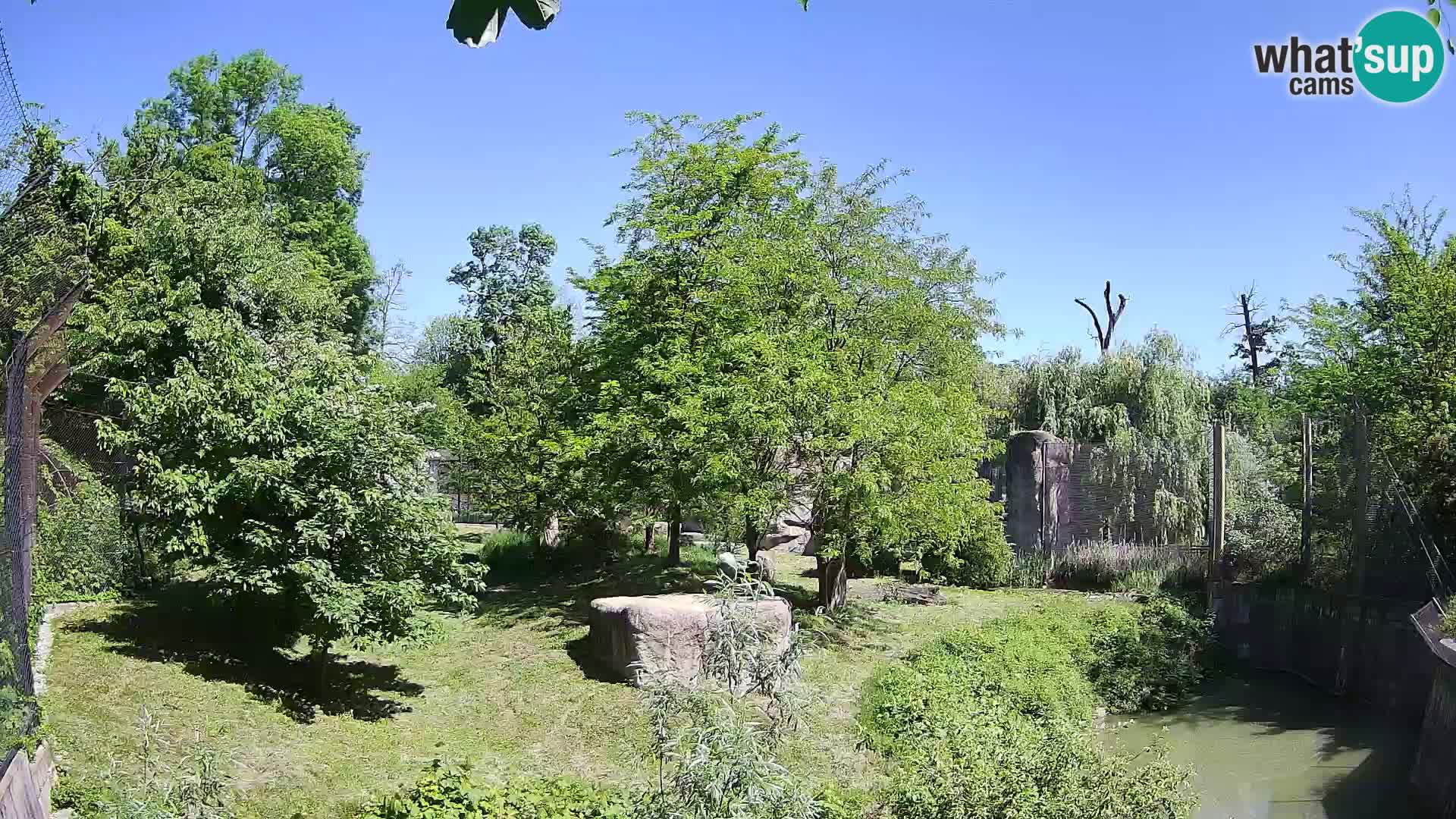 Zoo Zagreb – Leones