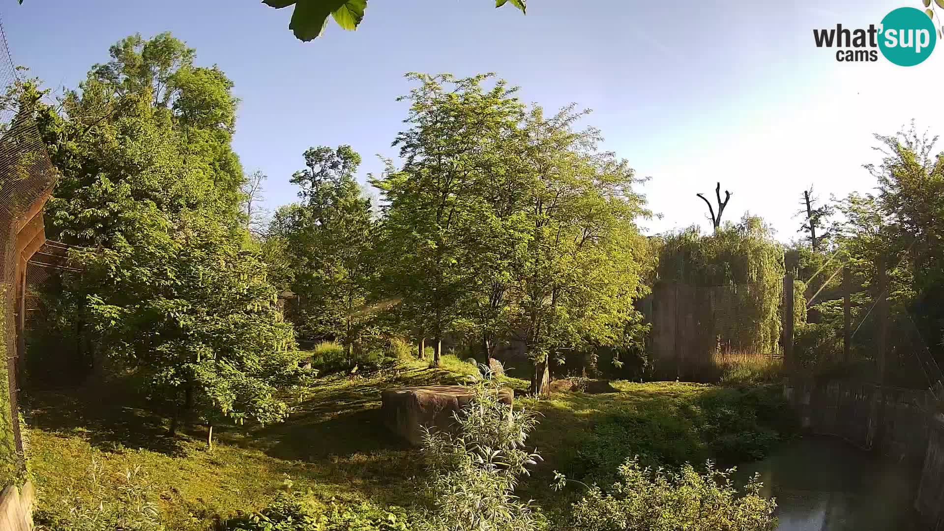 Zoo Zagreb – Leoni