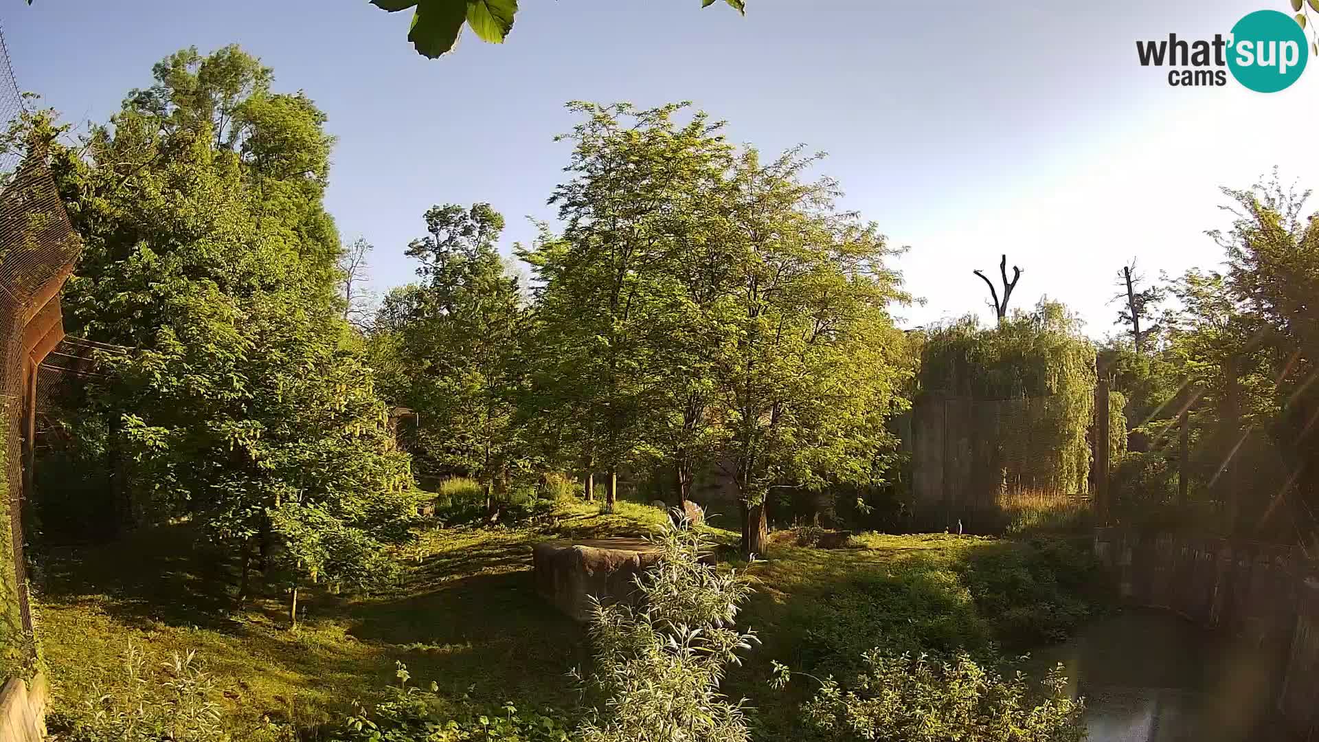 Zoo Zagreb – Leoni