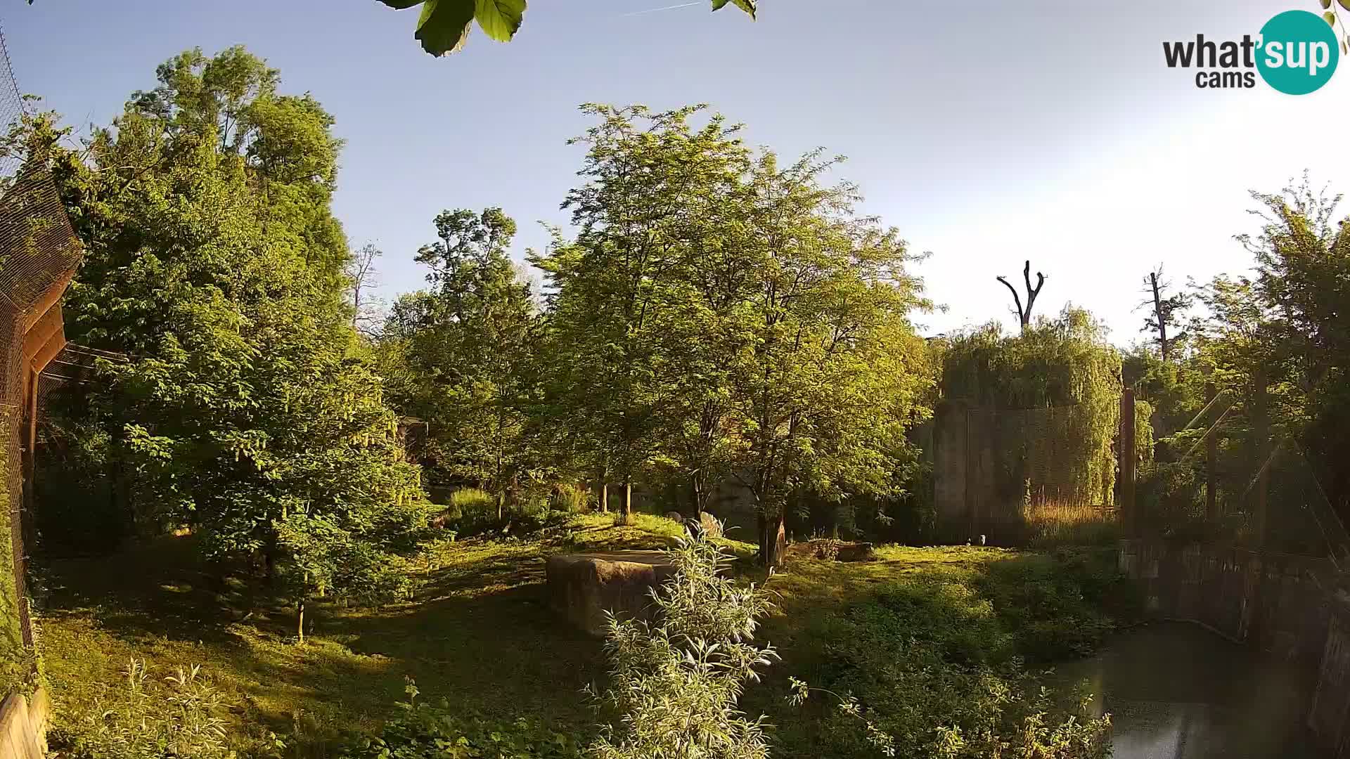 Zoo Zagreb – Leoni