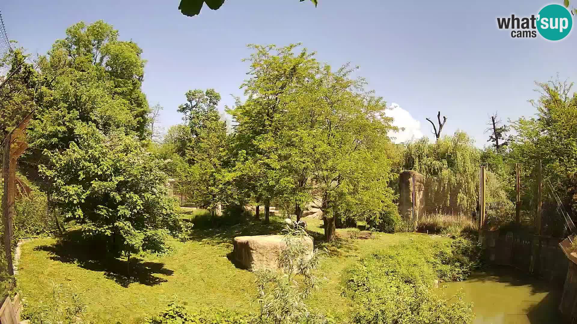Zoo Zagreb – Löwen