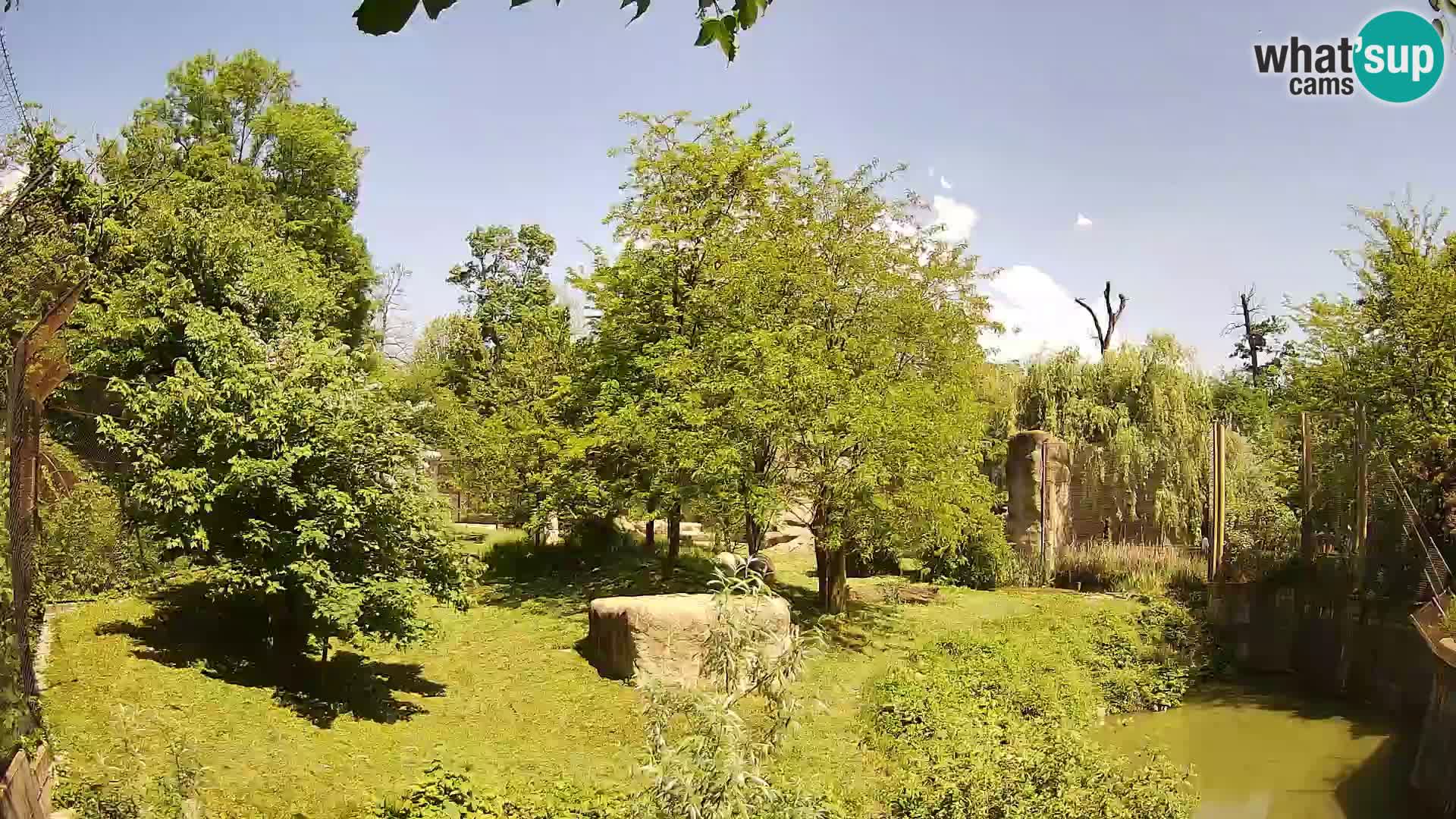 Zoo Zagreb – Leones
