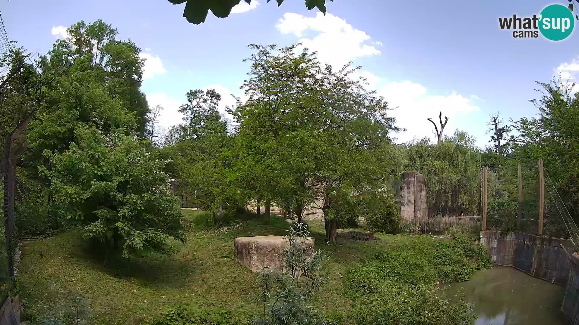 Zoo Zagreb – Löwen