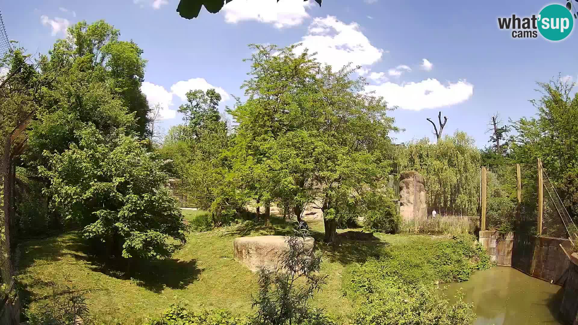 Zoo Zagreb – Leoni