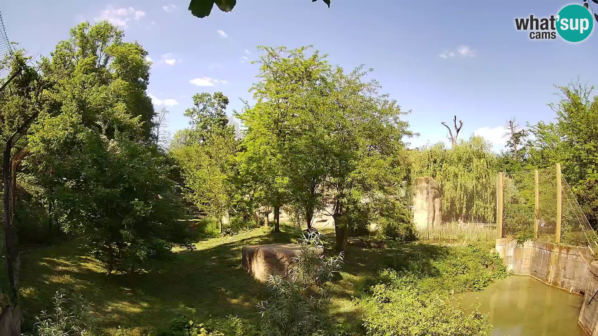 Zoo Zagreb – Leoni
