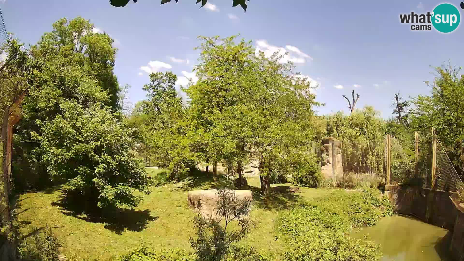 Zoo Zagreb – Leones