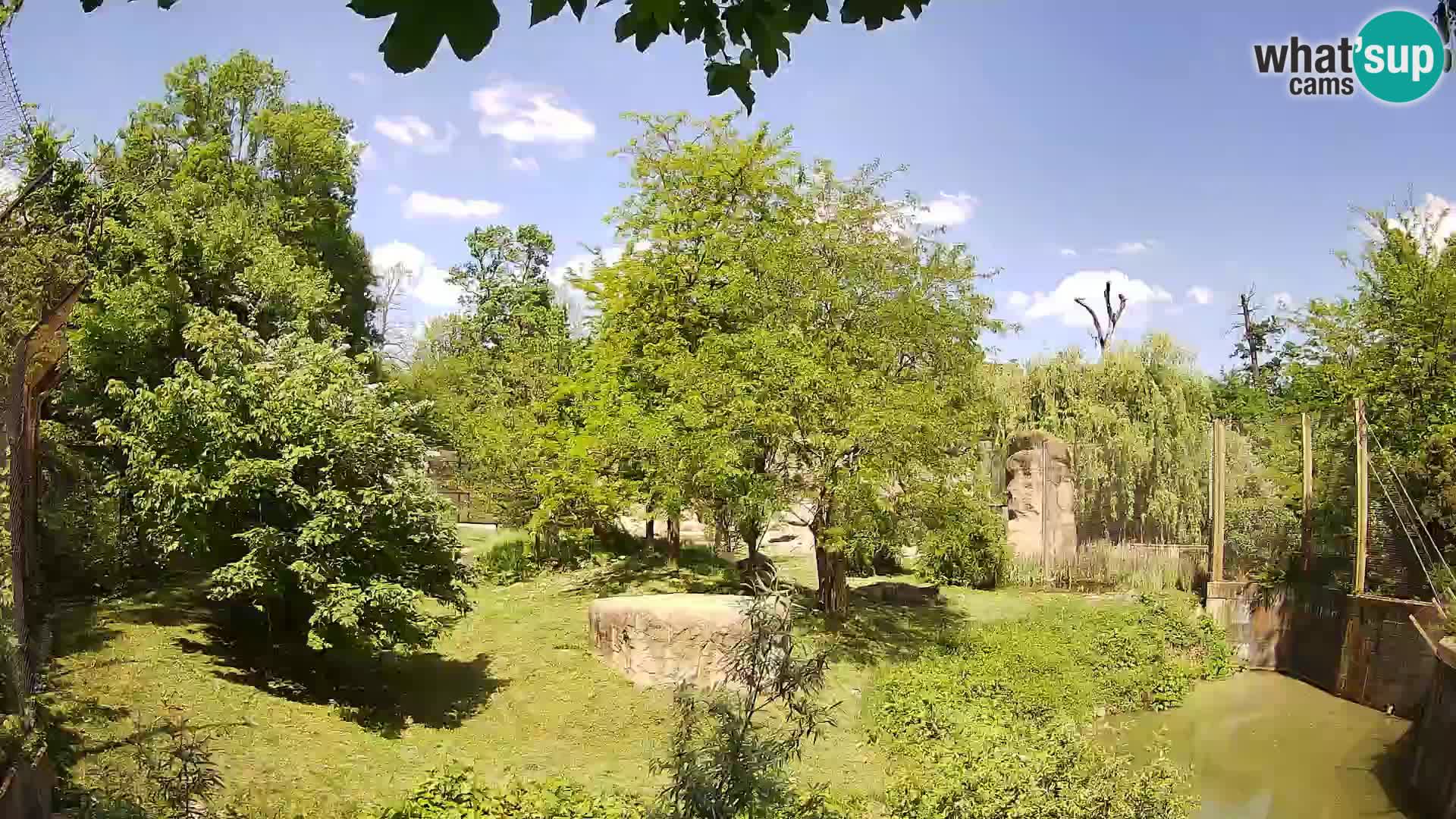 Zoo Zagreb – Löwen