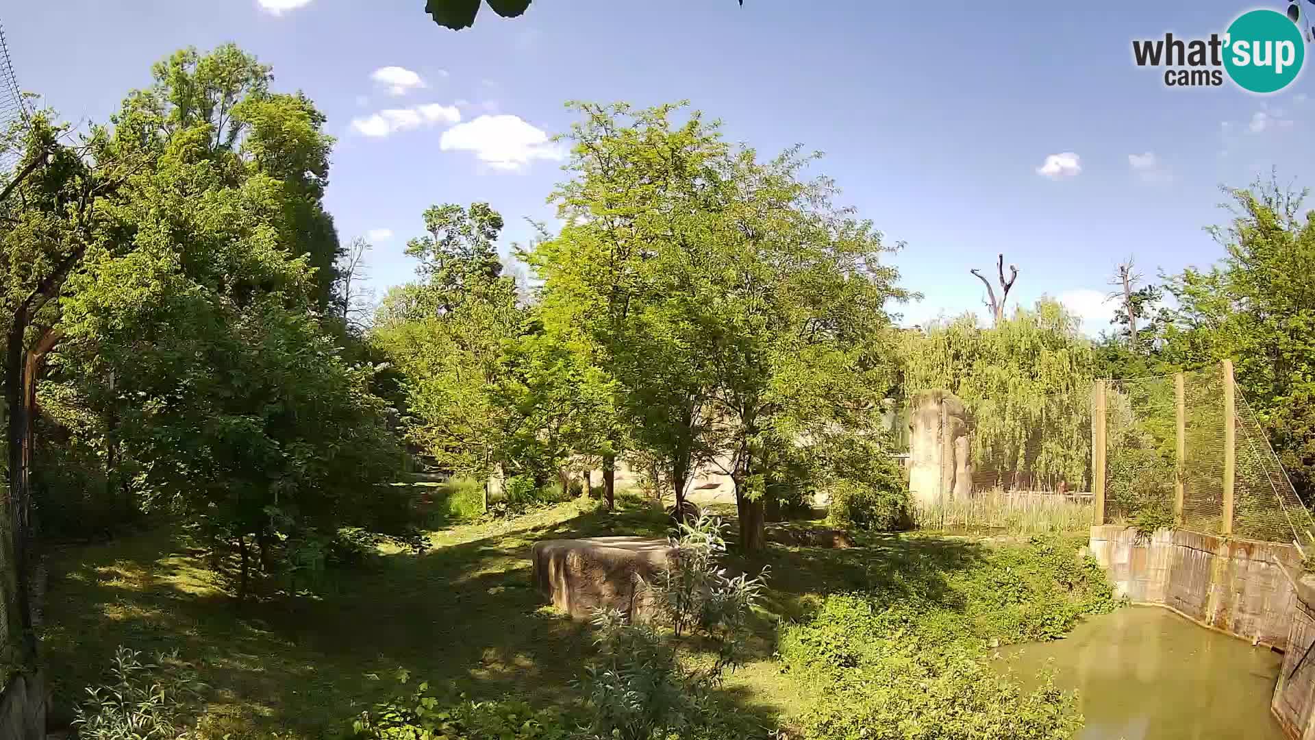 Zoo Zagreb – Leones