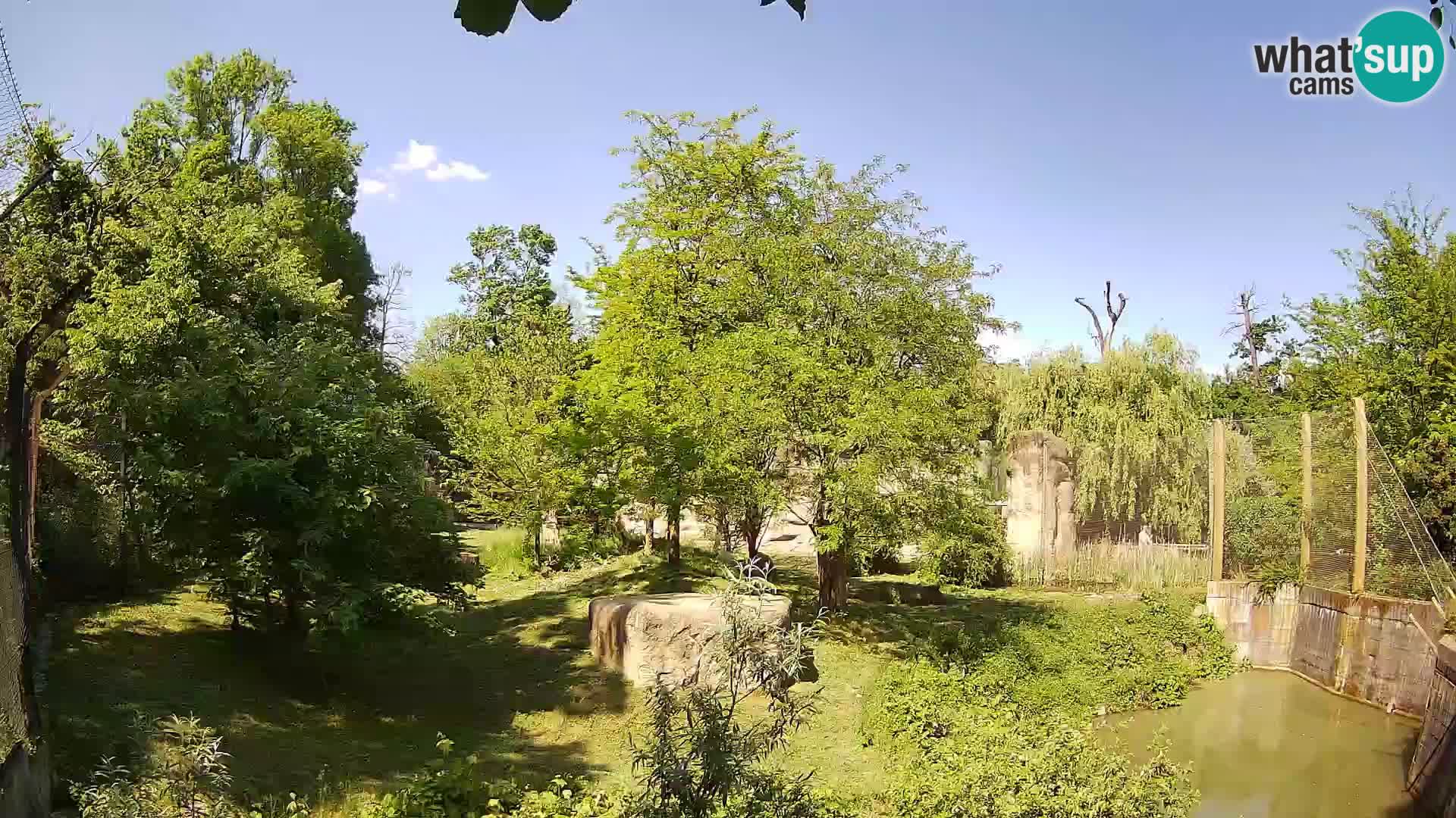 Spletna kamera Zoo Zagreb – Levi