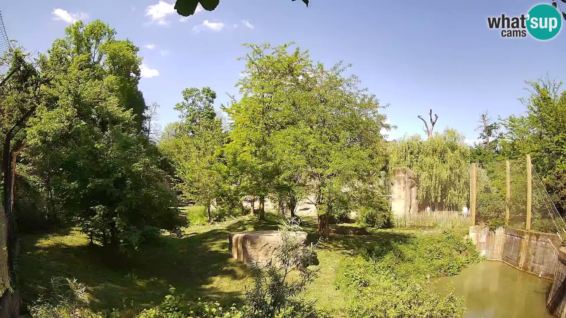 Zoo Zagreb – Leoni