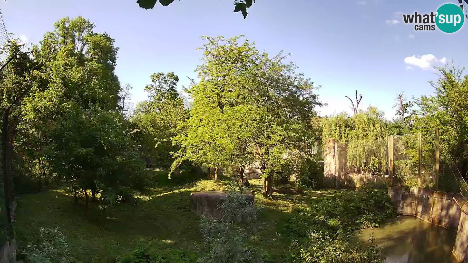 Zoo Zagreb – Löwen
